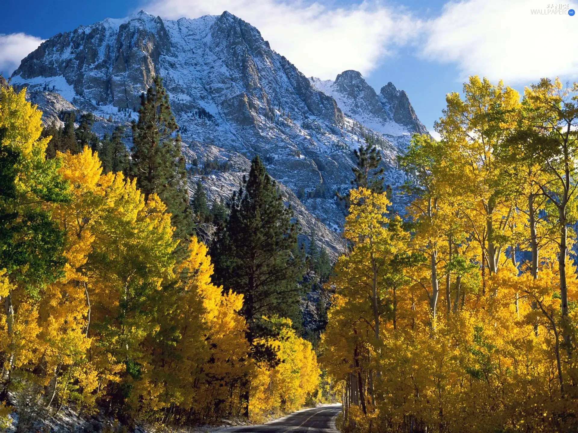 Way, Snowy, Mountains, forest