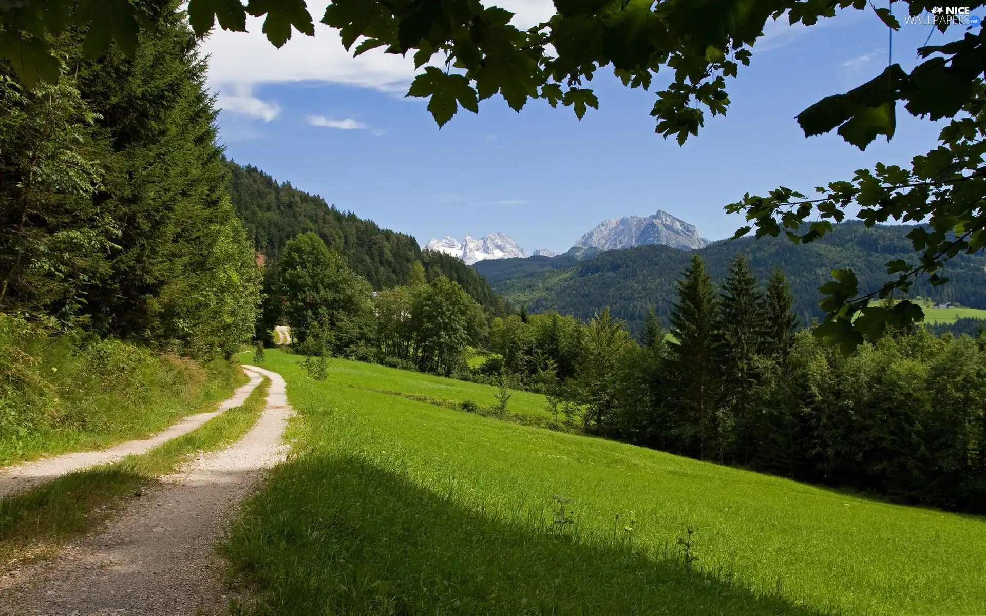 Way, viewes, Mountains, trees