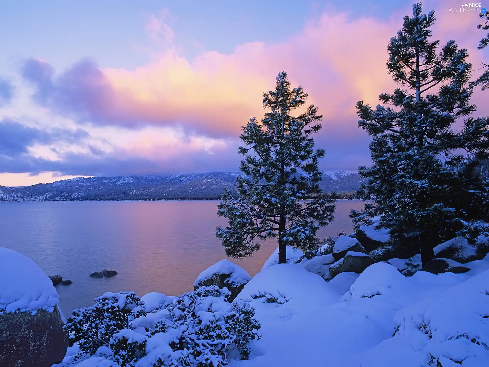 Mountains, winter, trees, viewes, lake