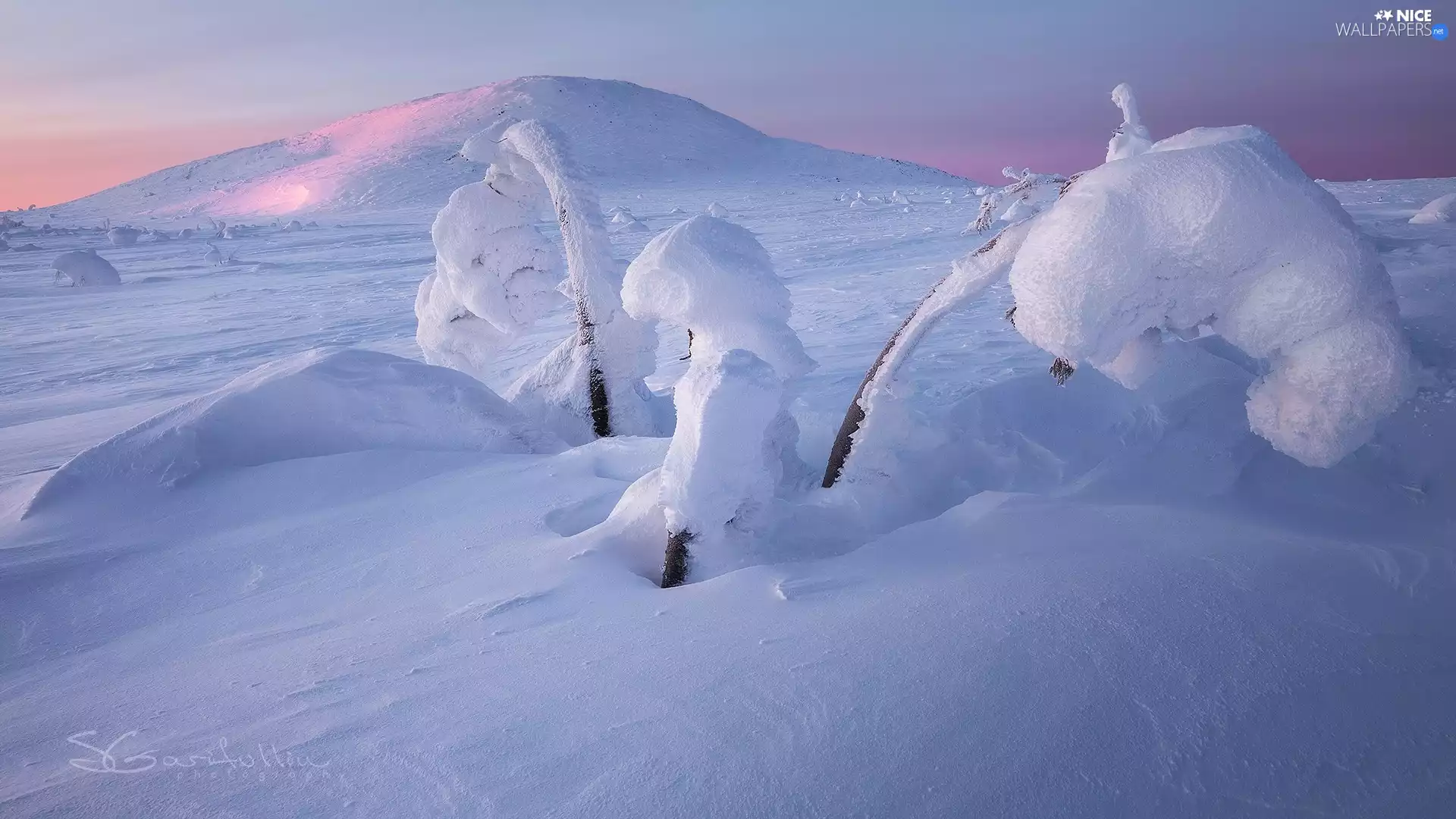 winter, Snowy, Plants, mountains