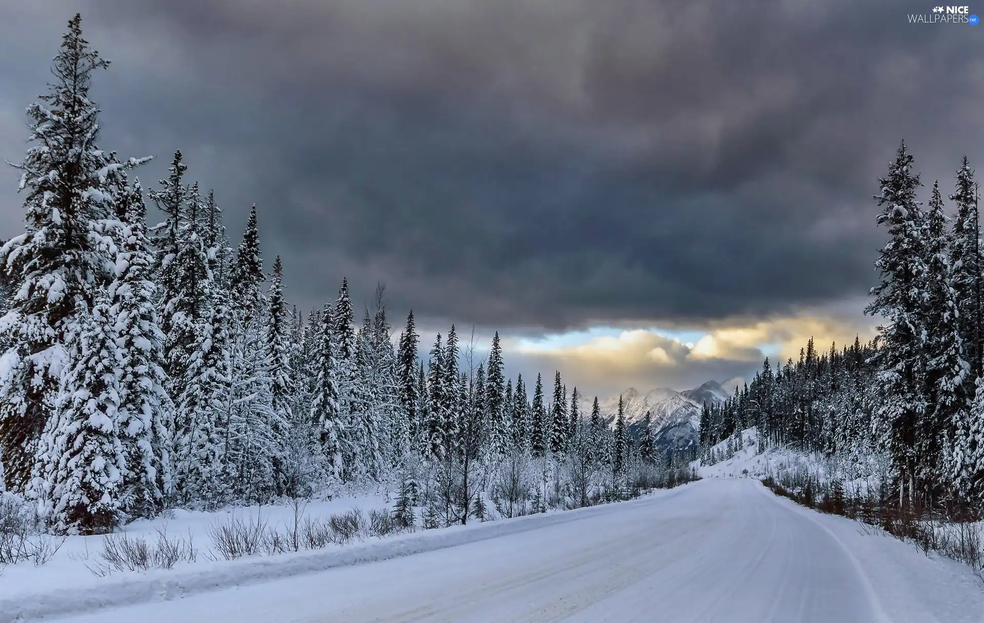 winter, woods, Mountains, Way