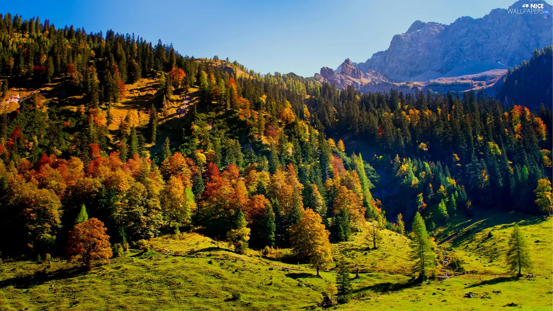 Karwendel, Austria, Mountains, woods, autumn, Tirol