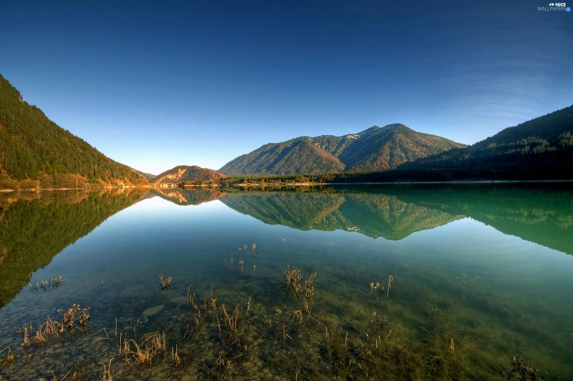 Mountains, lake, woods