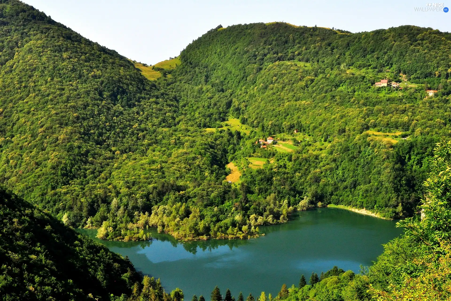 Mountains, lake, woods