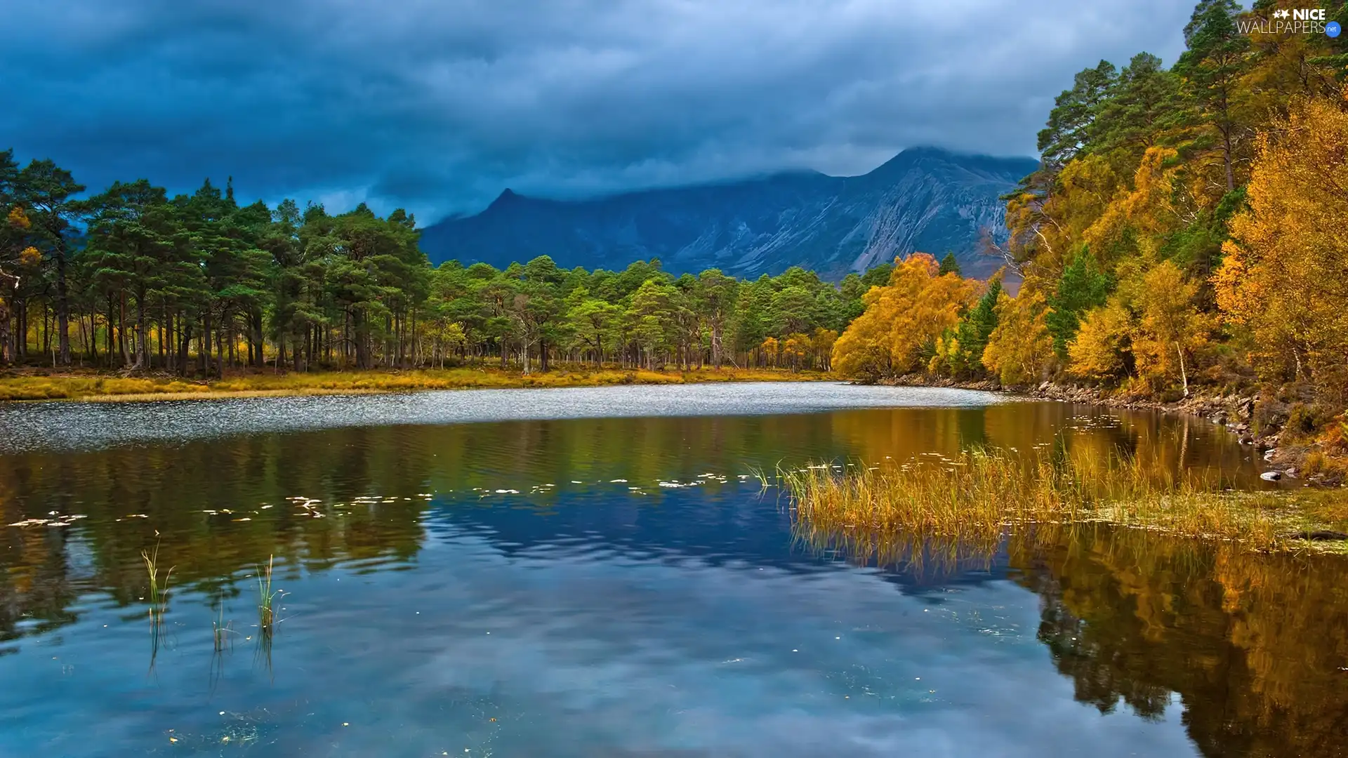 Mountains, lake, woods