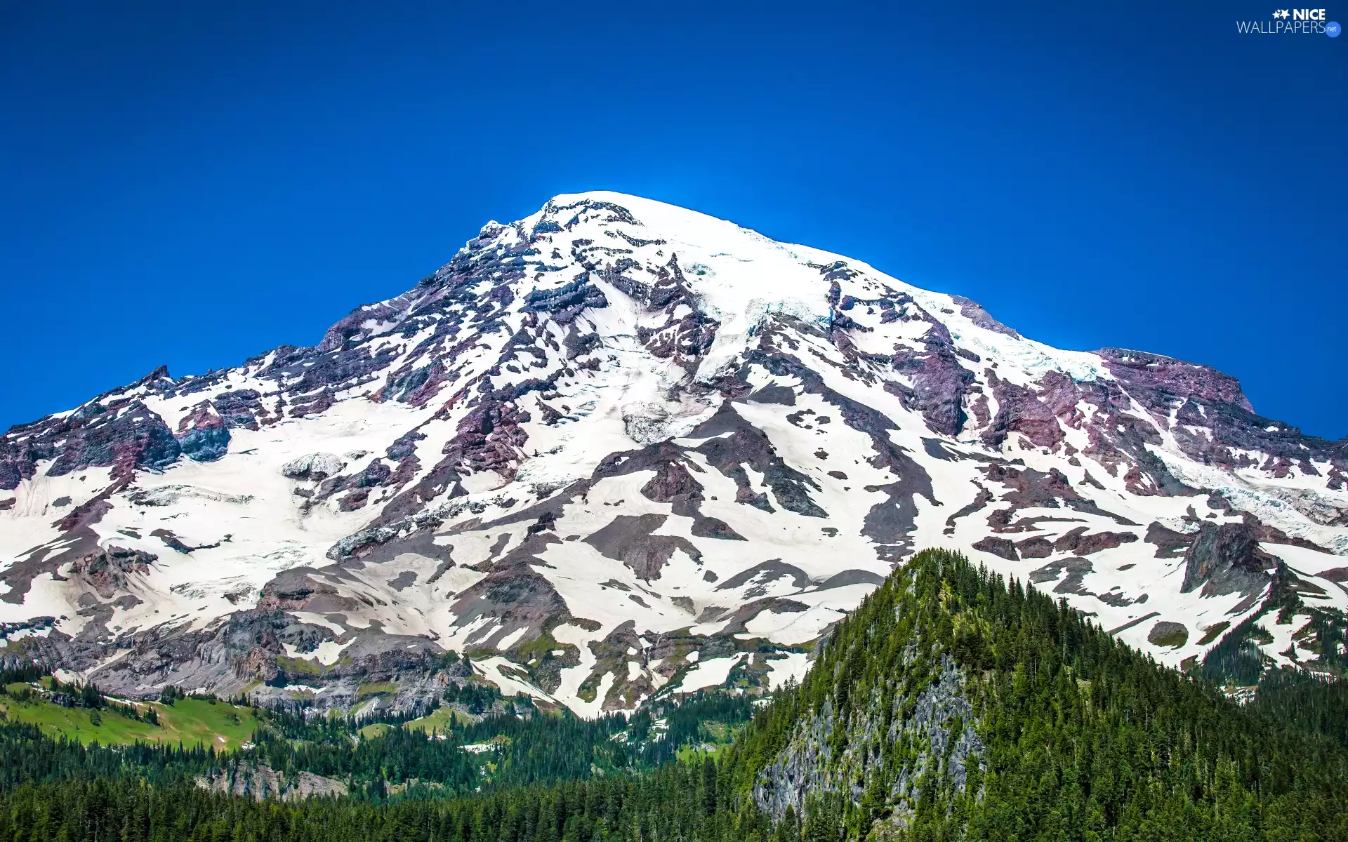 volcano, mountains, woods, Mount Rainier