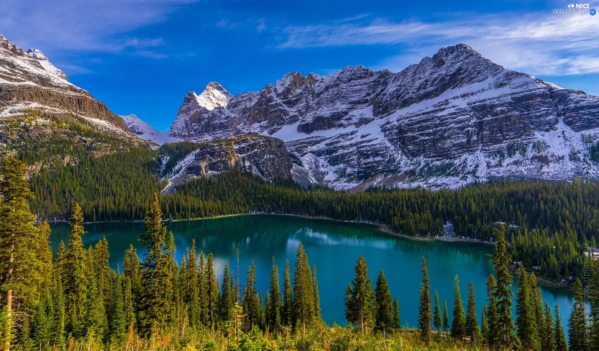 Lake O Hara, Mountains, Province of British Columbia, Canada, Yoho National Park, forest