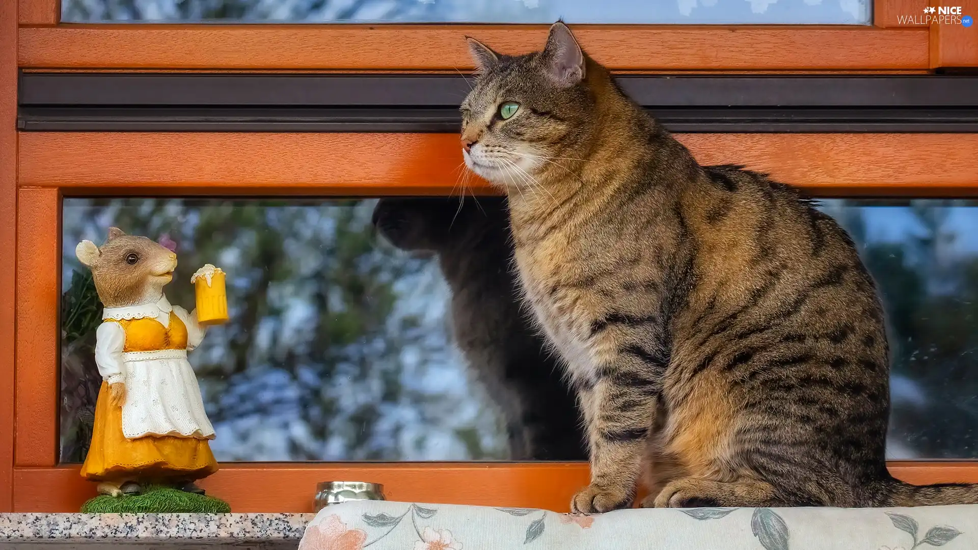 Window, dun, figure, mouse, parapet, cat