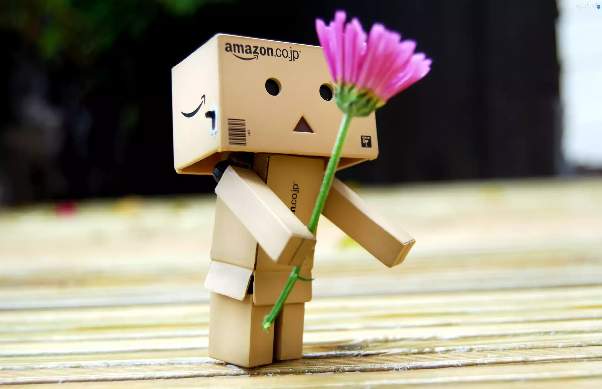 Danbo, cardboard, M&Ms mate, Flower
