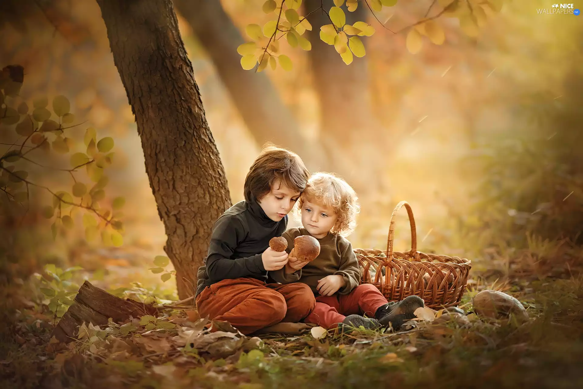 Kids, basket, trees, mushrooms