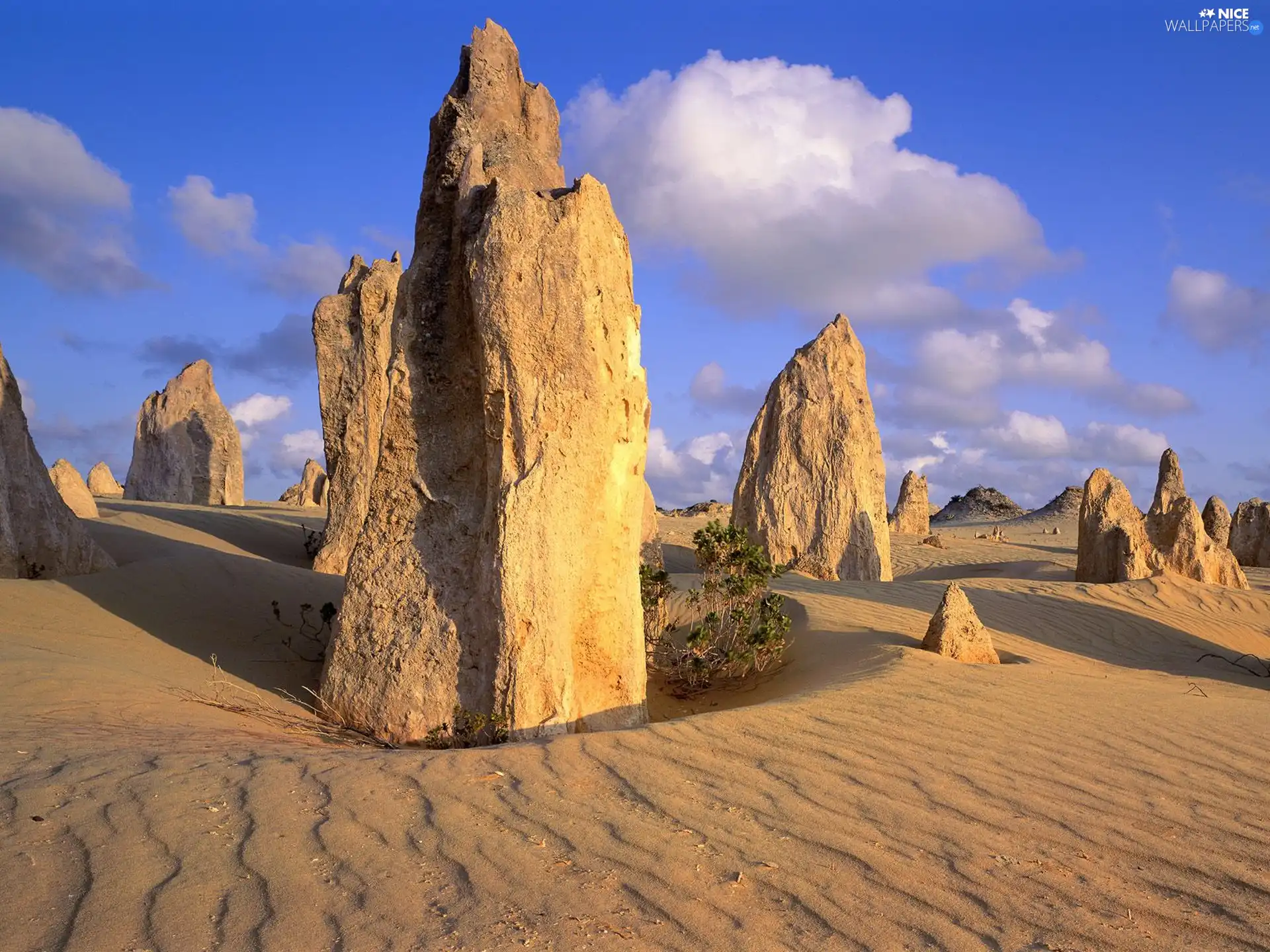 Australia, Pinnacles Desert, Nambung National Park