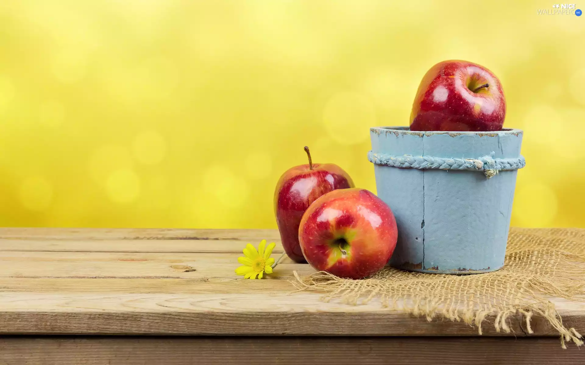 Table, napkin, apples, Flower, Bucket