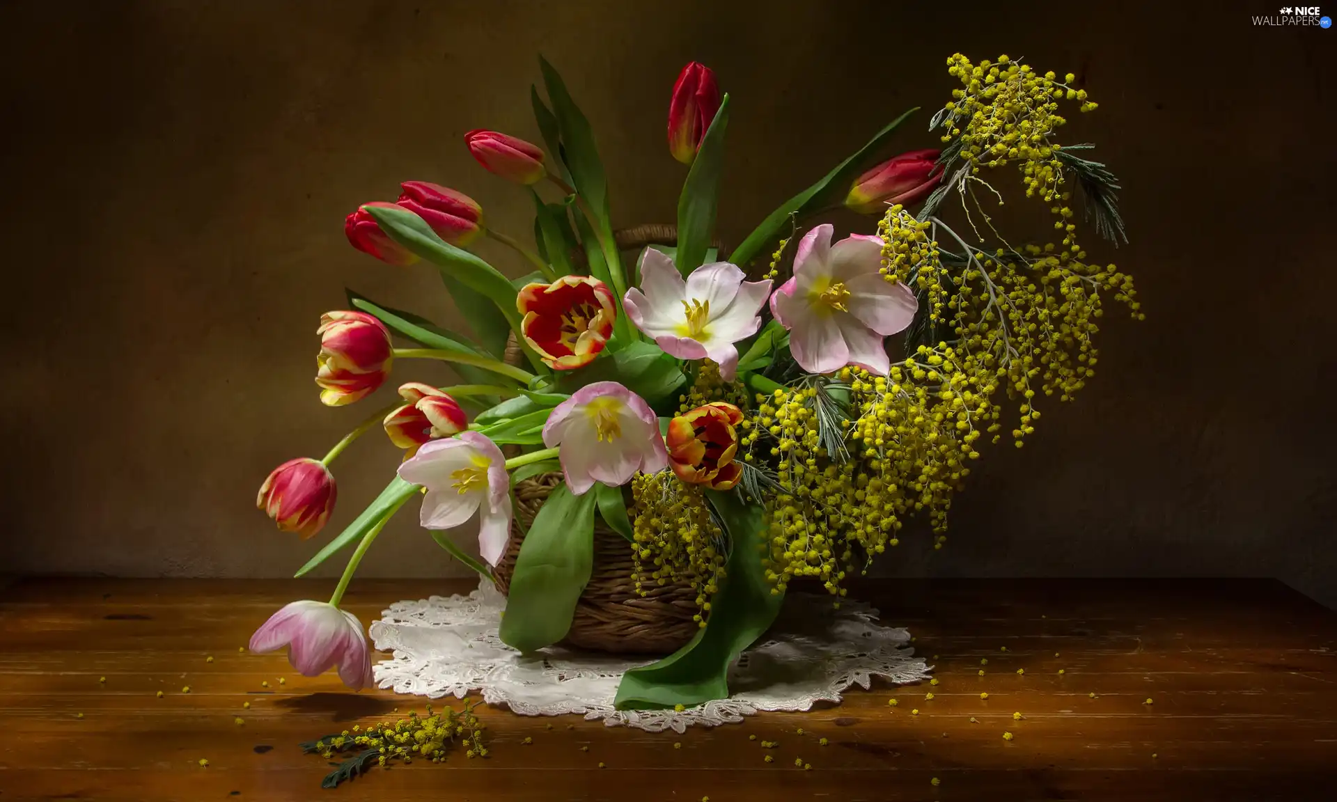Twigs, Flowers, table, Tulips, bouquet, Acacia Dealbata, napkin