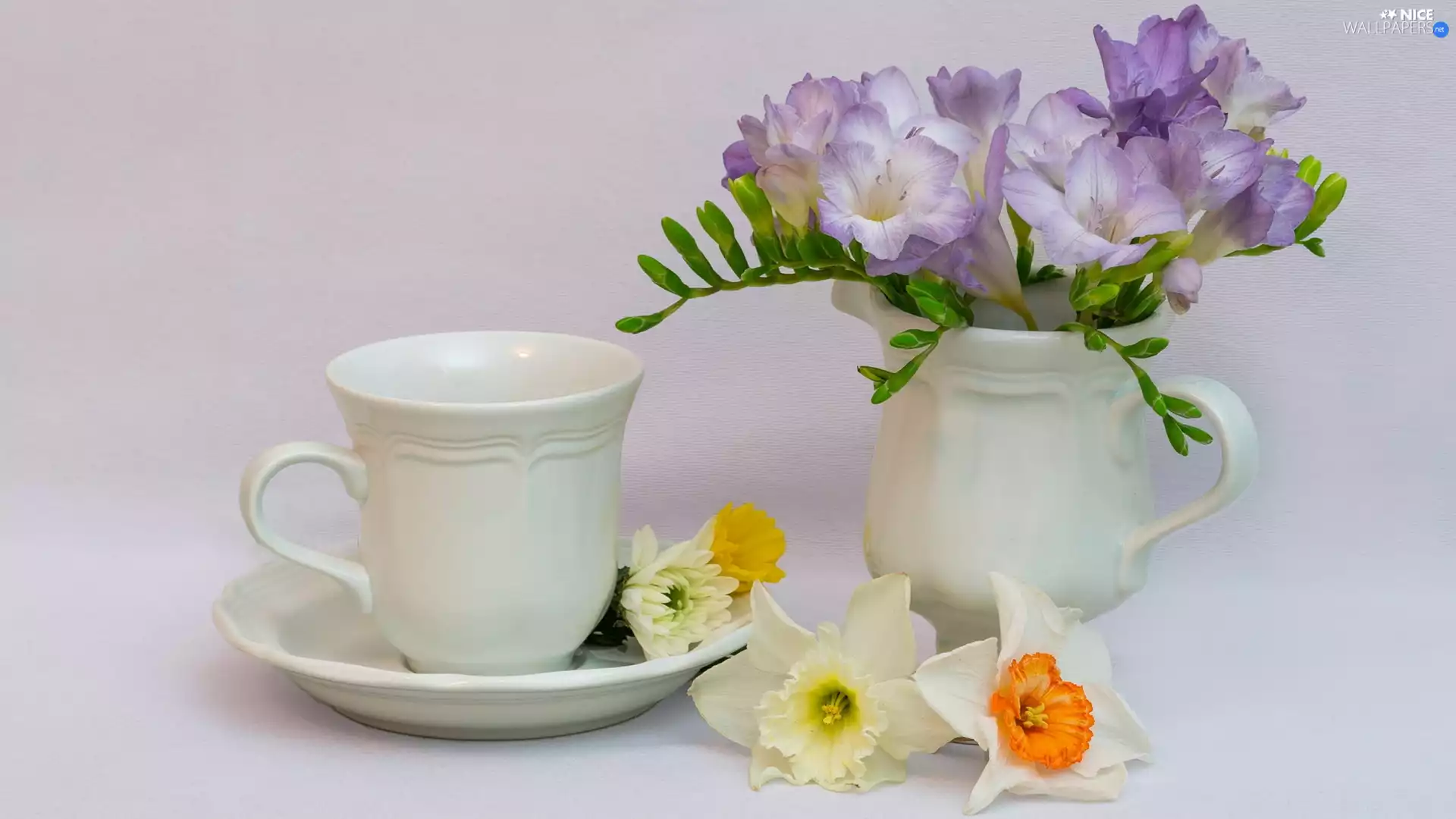 jug, composition, Freesias, narcissus, Flowers, Cup