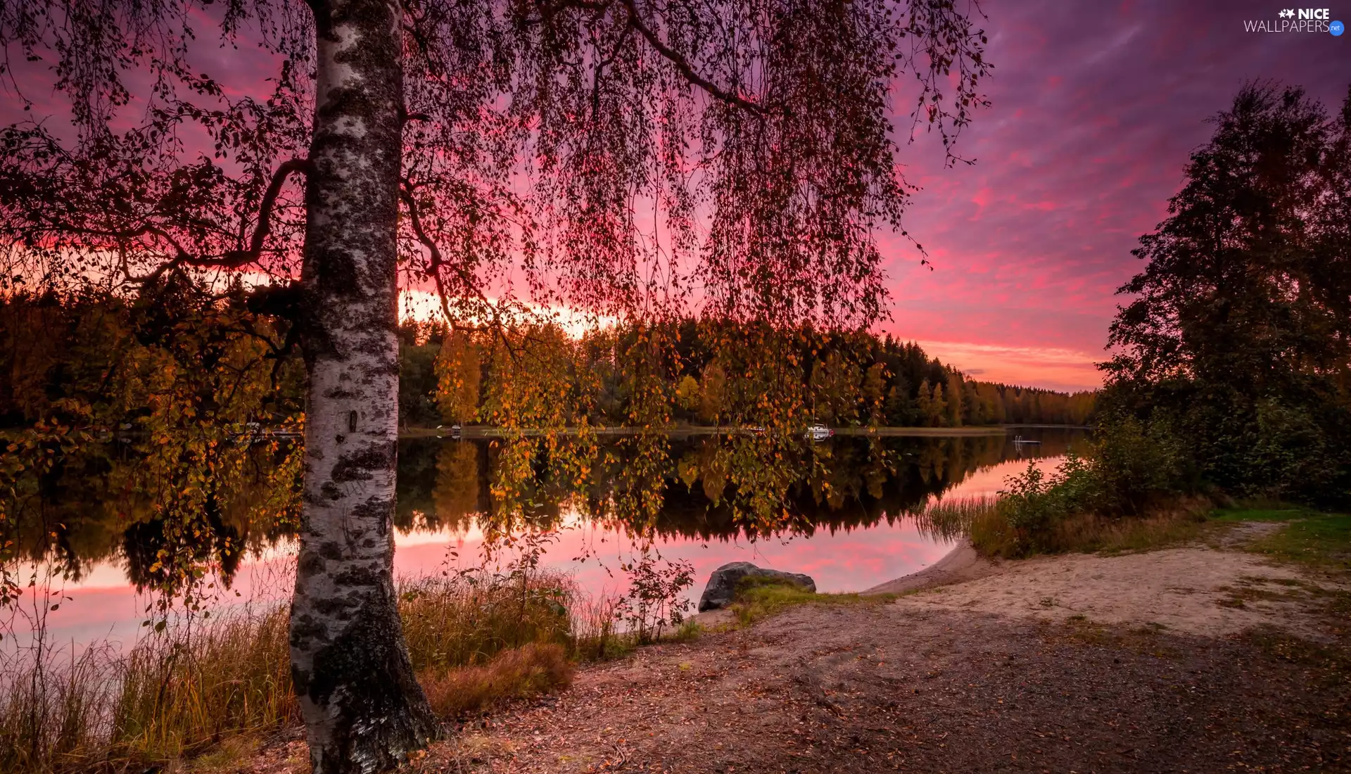 Province of Western Finland, Finland, Pirkanmaa Region, Näsijärvi Lake, birch-tree, clouds, trees, viewes, autumn