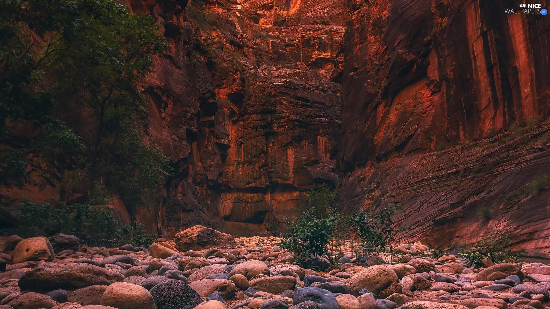 viewes, Stones, Utah, trees, rocks, Zion National Park, The United States