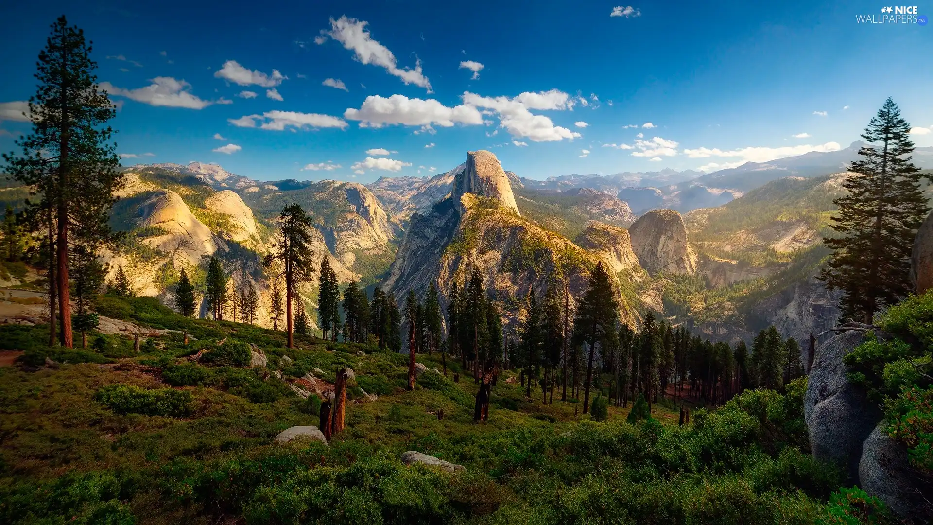 Mountains, trees, State of California, Yosemite National Park, The United States