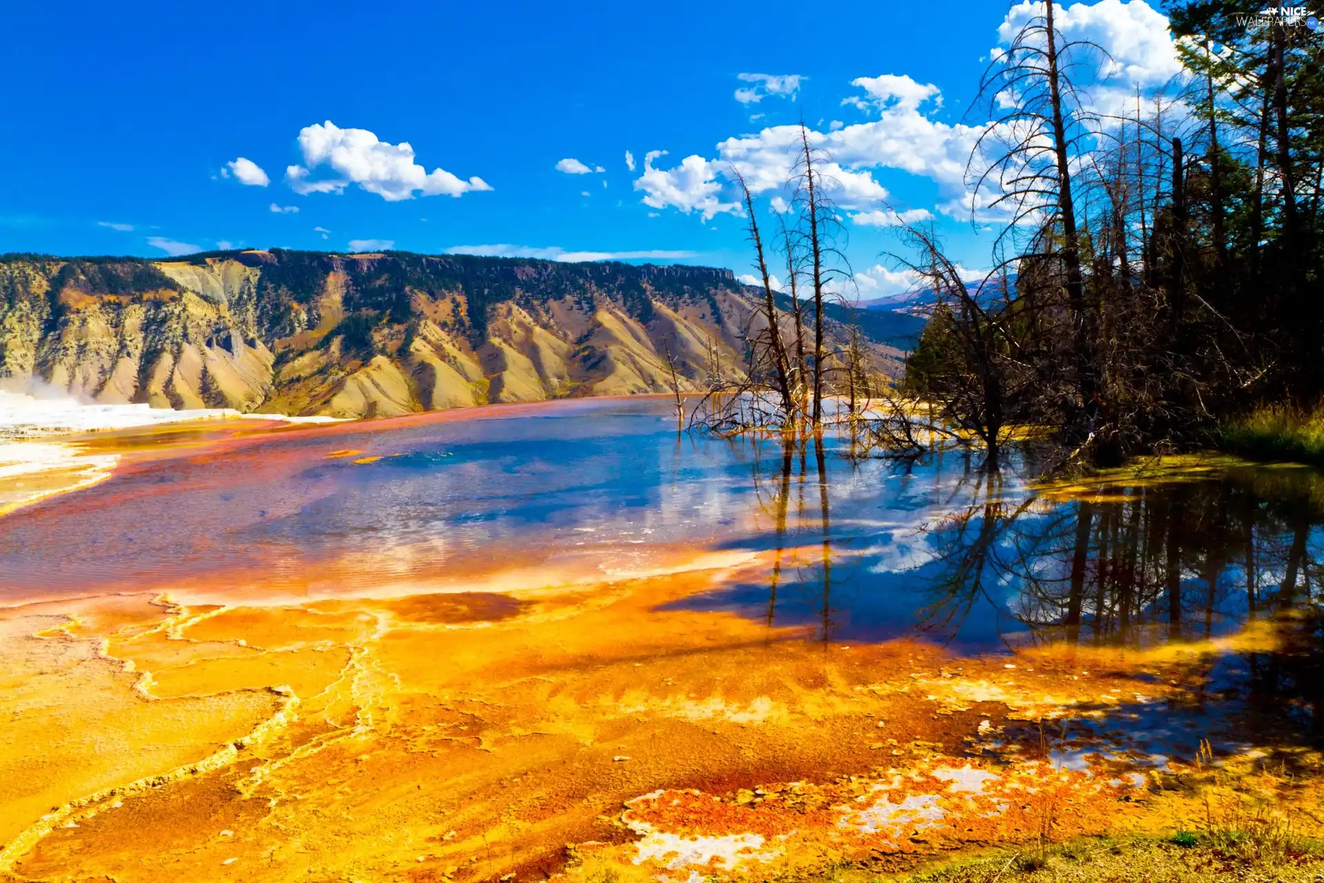 viewes, Mountains, Montana, trees, lake, National Park, Canada