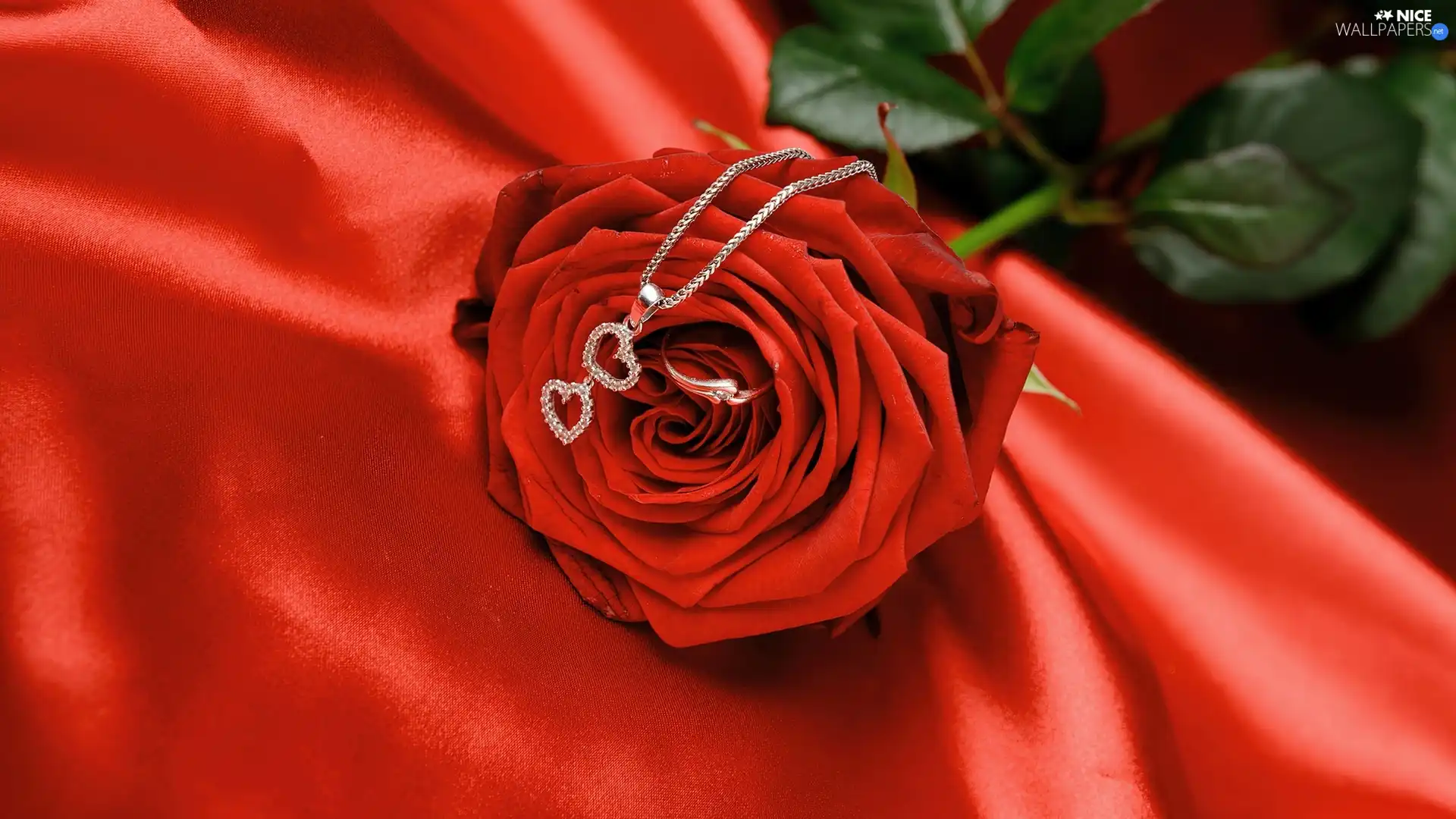 hearts, rose, neck chain