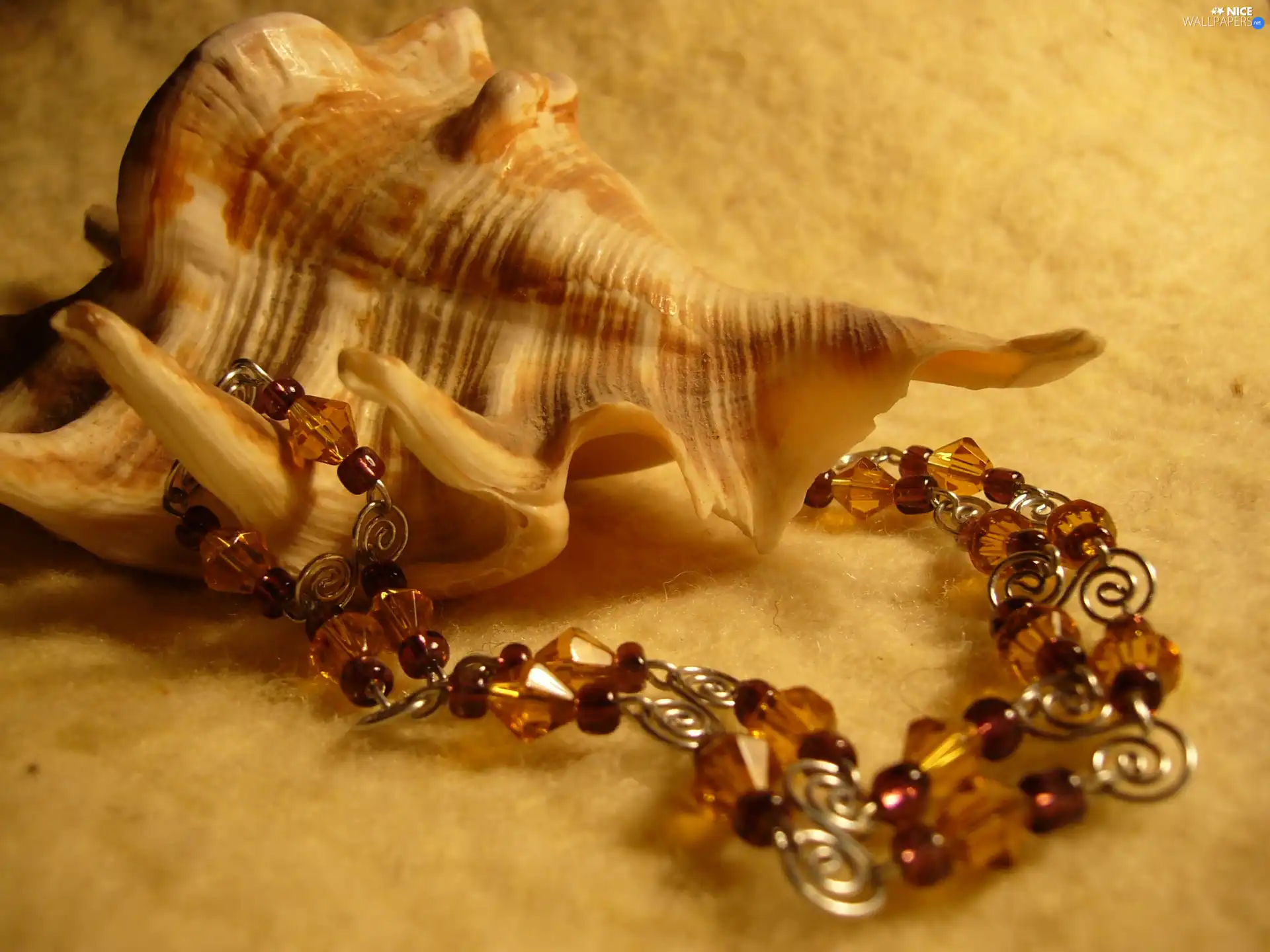 shell, Necklace