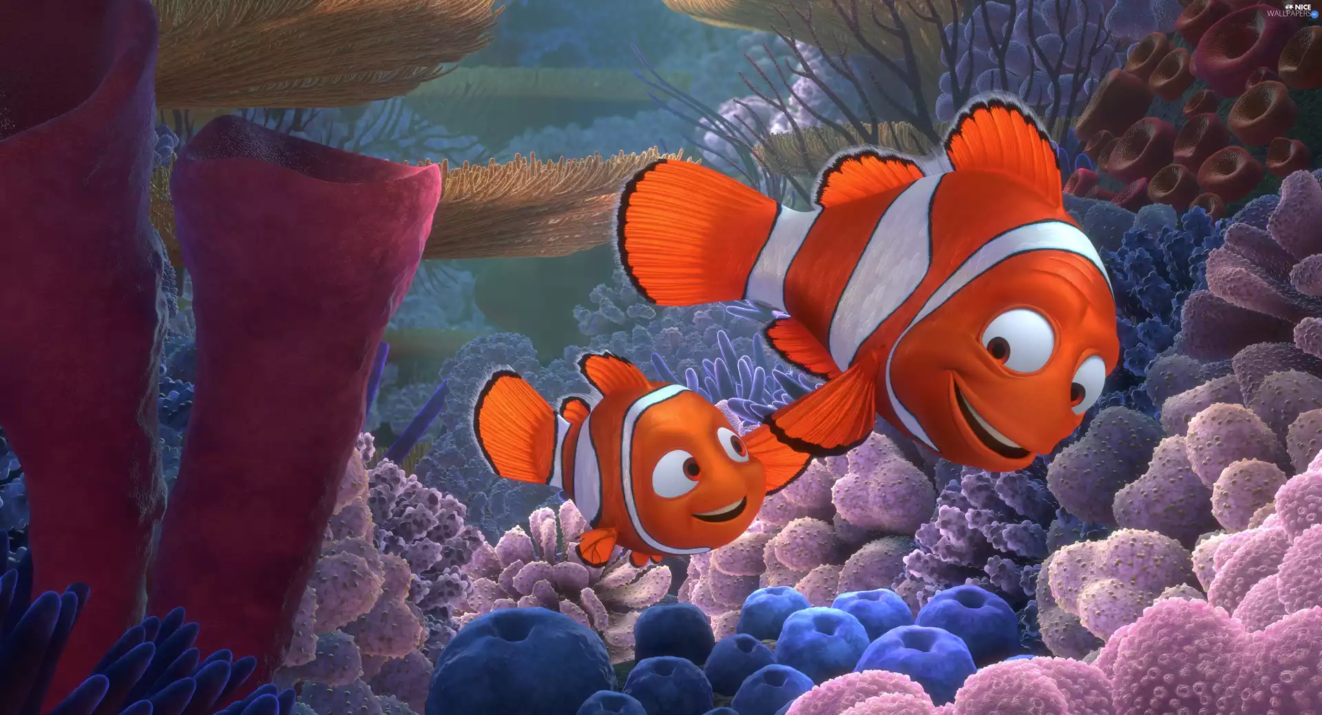 father, Marlin, Finding Nemo, Finding Nemo, cartoon