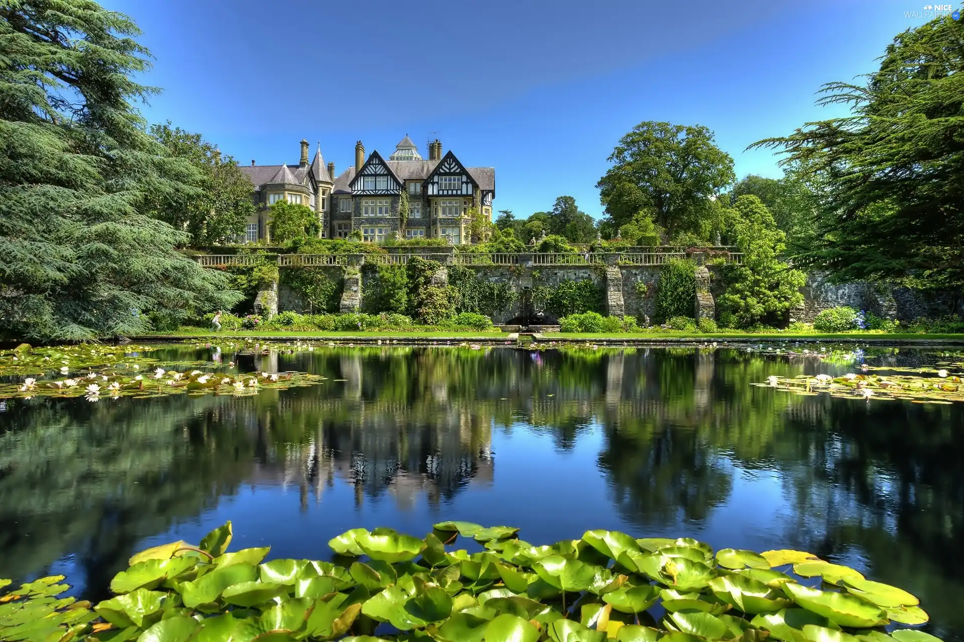 Castle, Pond - car, Nenufary, Garden