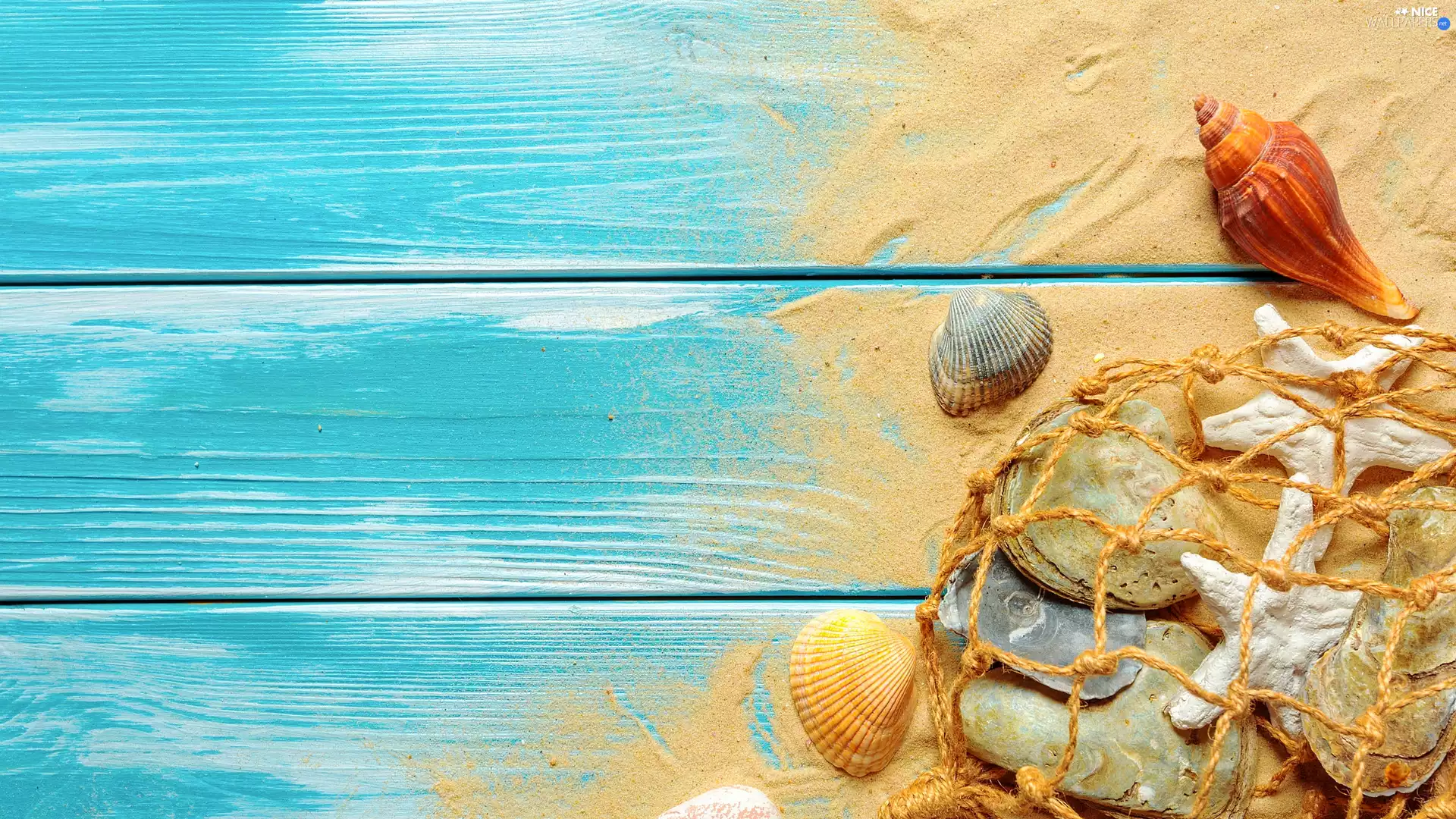 Sand, Shells, boarding, net, starfish, Blue, composition