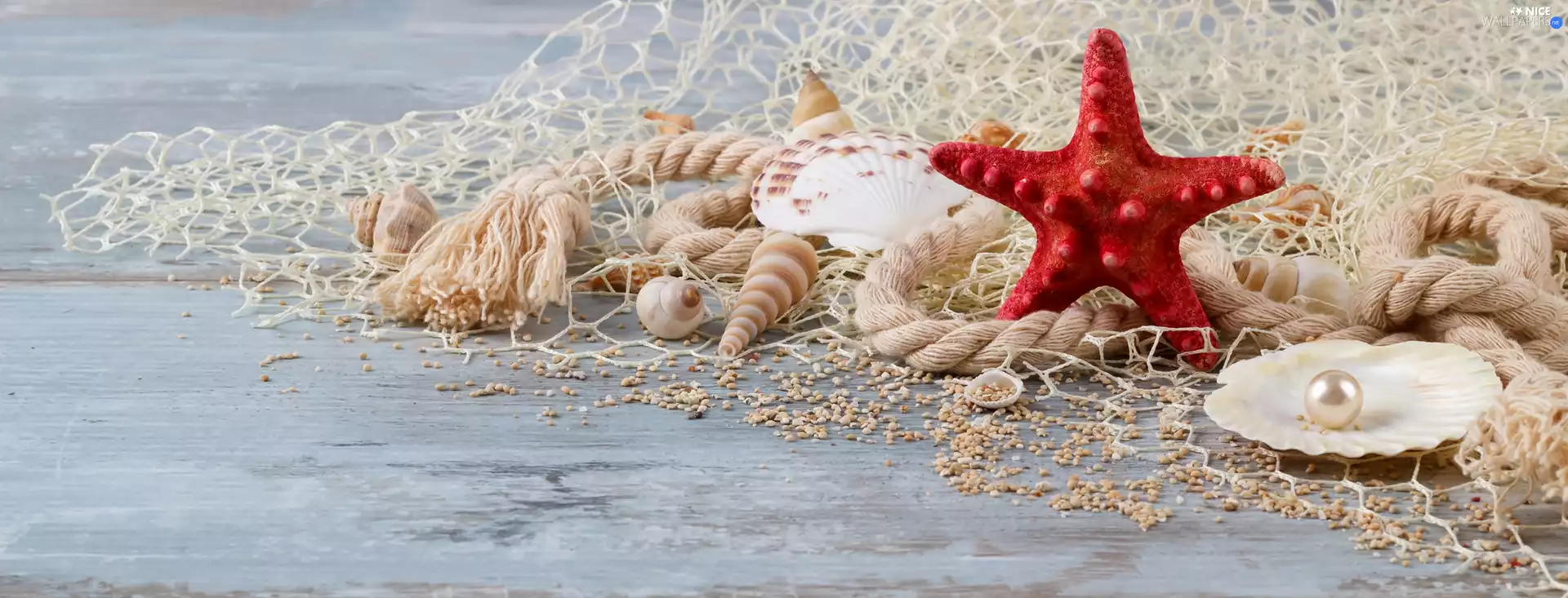 starfish, Shells, line, net, string, pearl