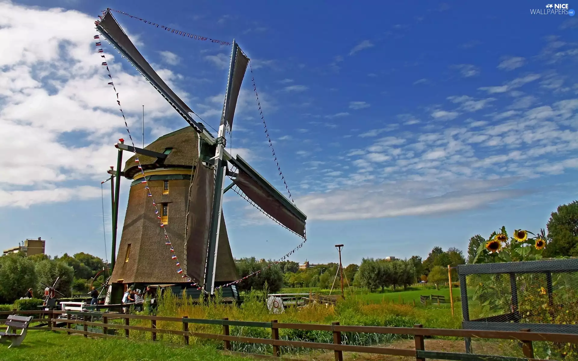 Netherlands, Windmill, Windmill