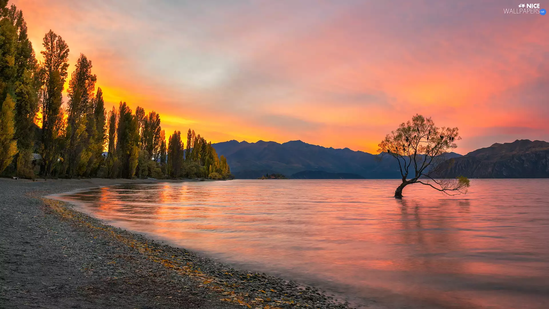 Great Sunsets, Wanaka Lake, trees, inclined, Mountains, New Zeland, Otago Region, viewes, trees, autumn, birds