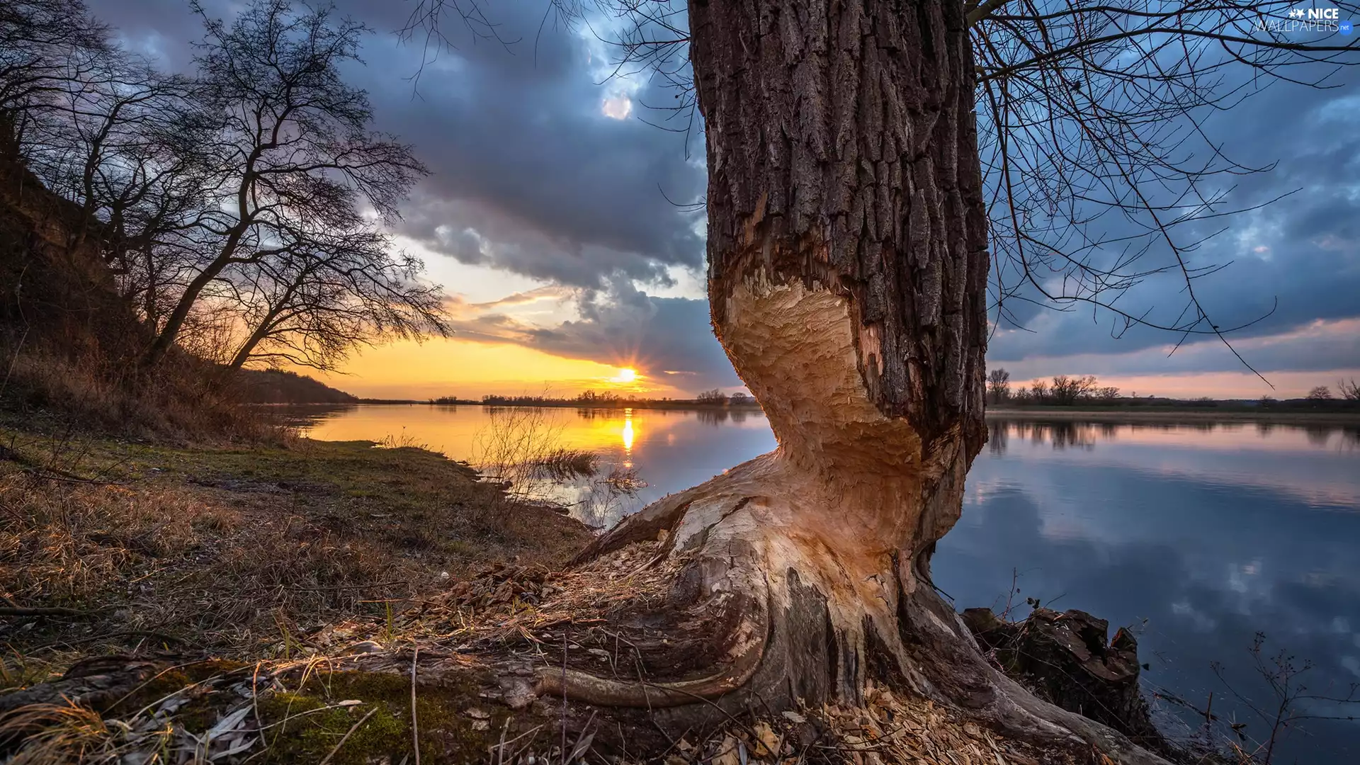 clouds, Great Sunsets, nibbled, trees, River