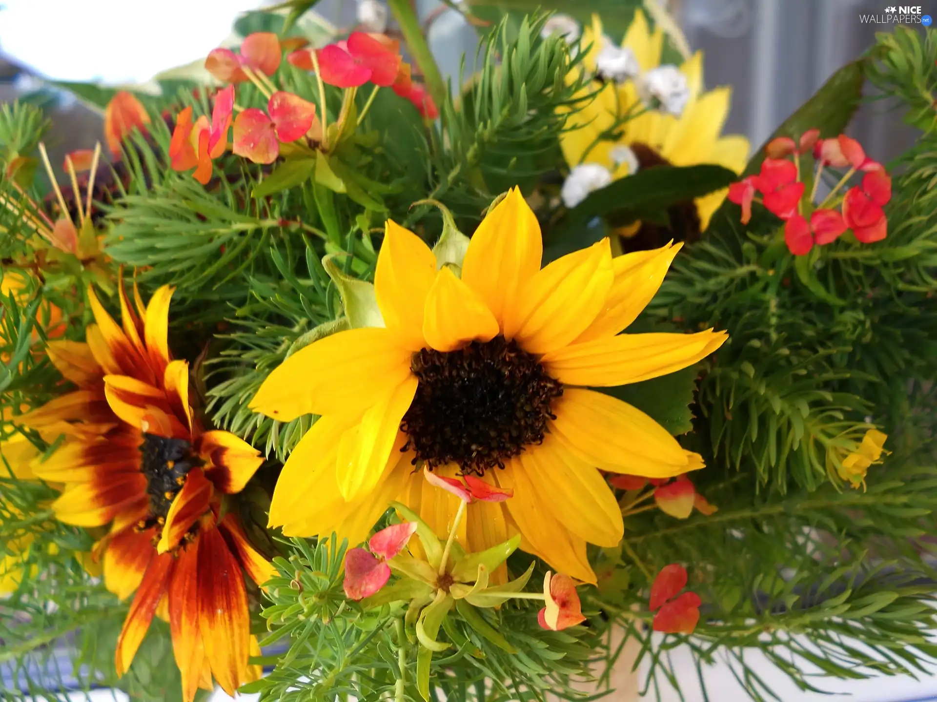 ornamental, bouquet, Nice sunflowers