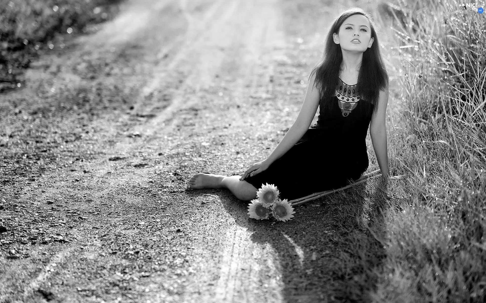 On The Road, girl, Nice sunflowers