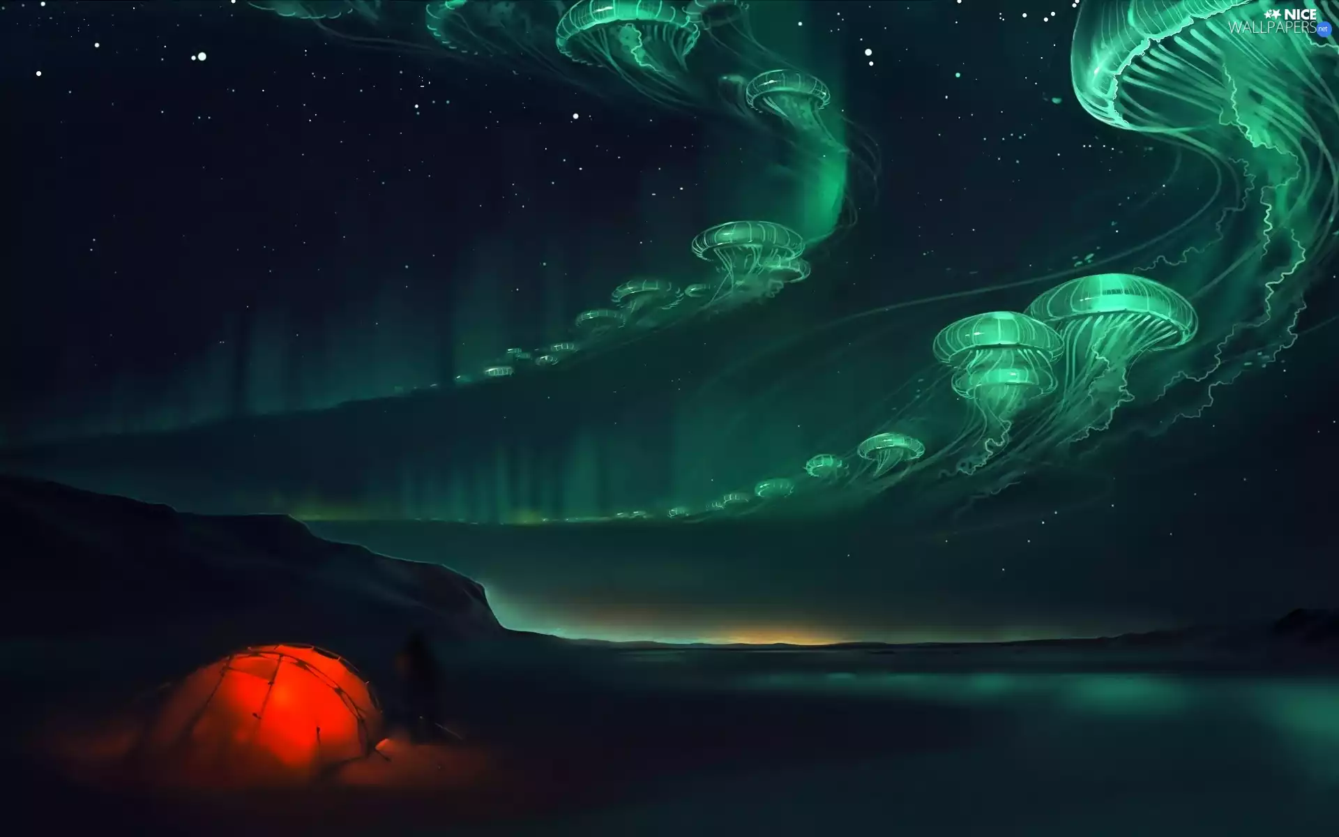 aurora polaris, fantasy, Night