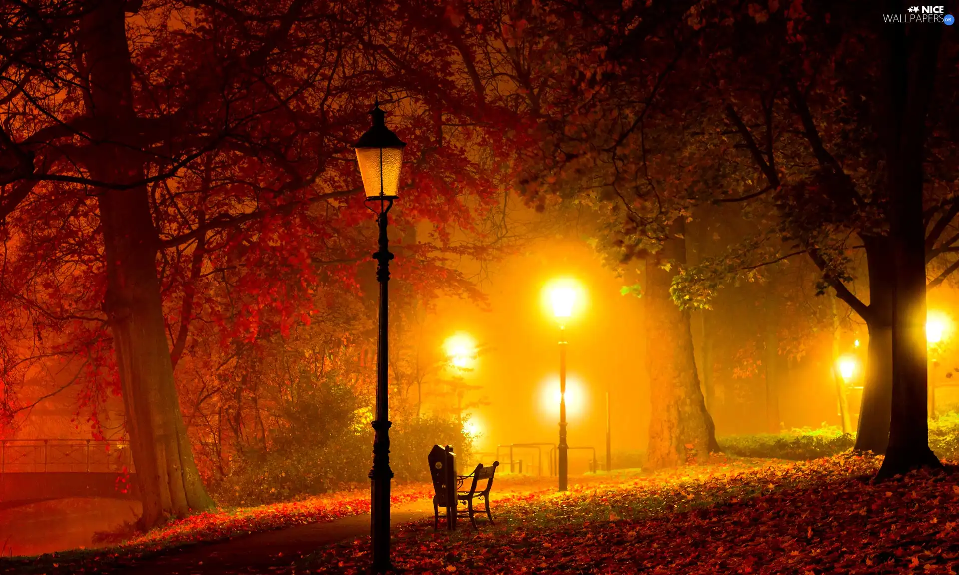 Leaf, trees, night, lanterns, Park, viewes