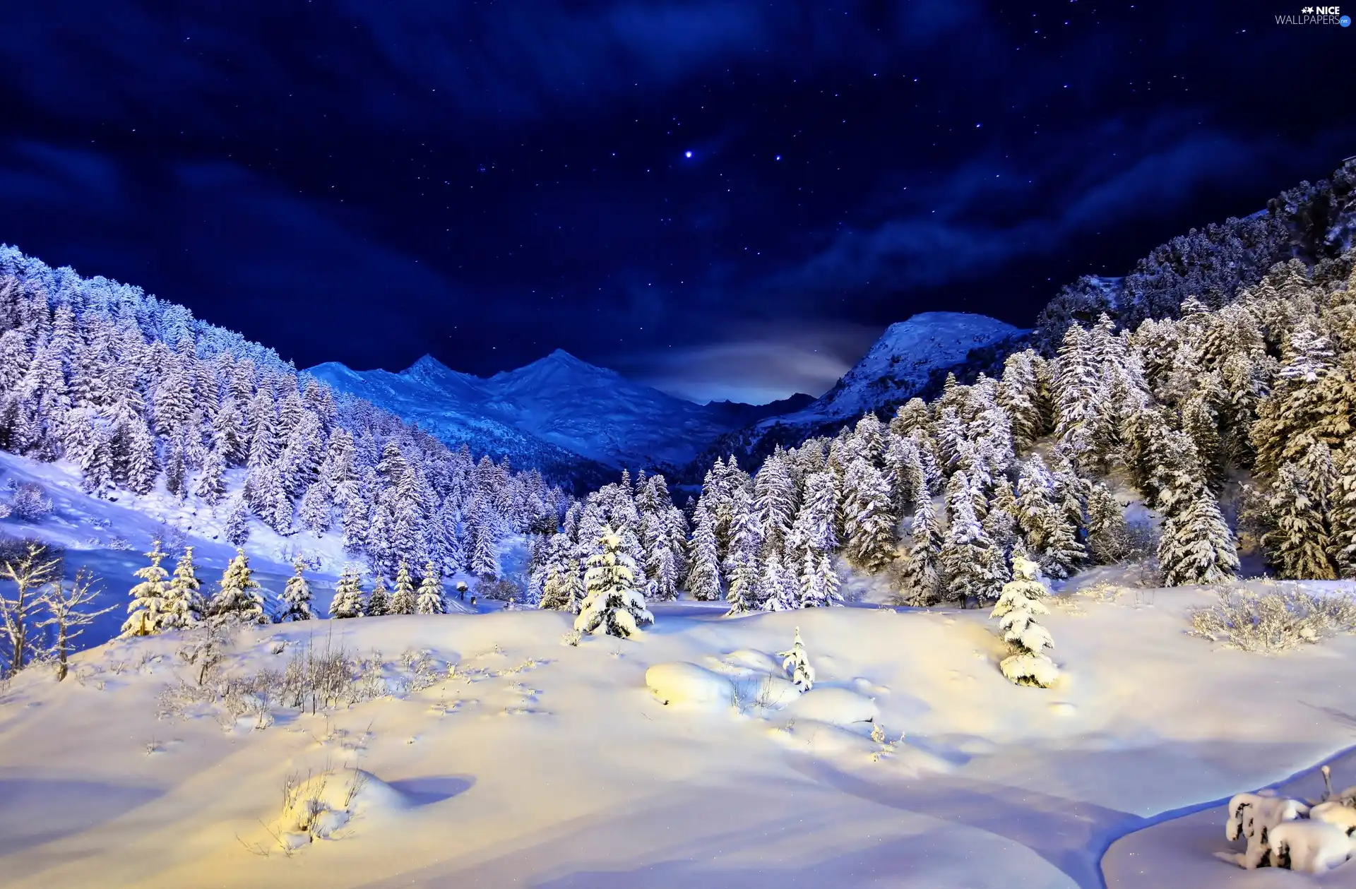 Mountains, snow, Night, forest