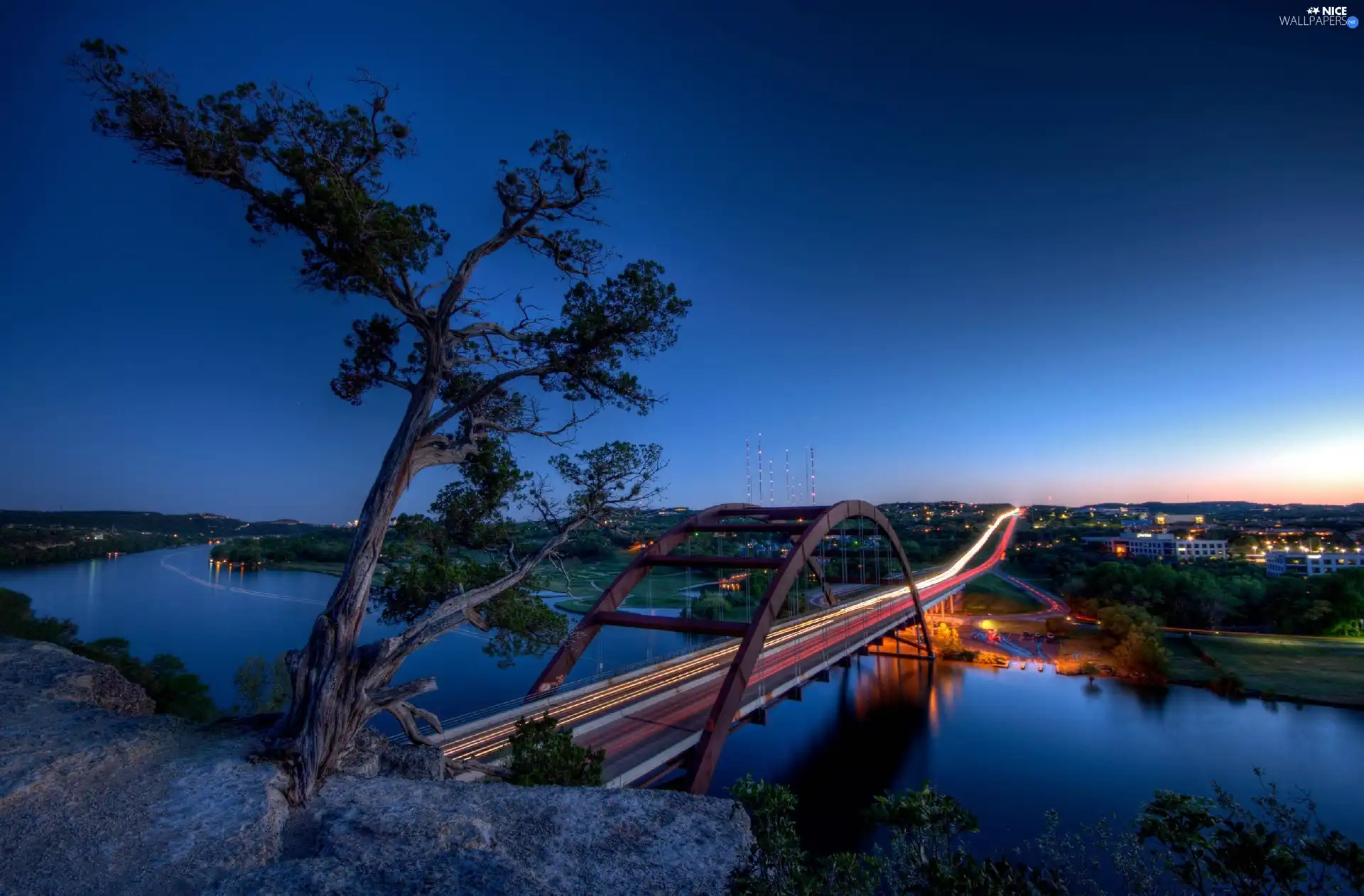 trees, River, Night, bridge