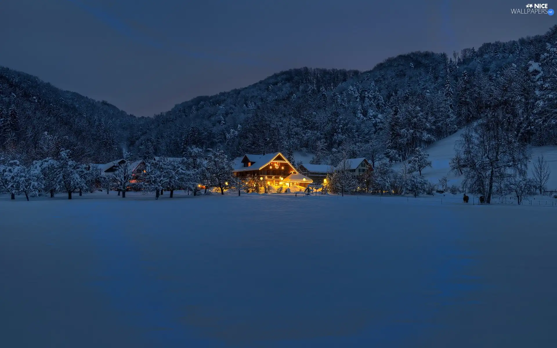 Floodlit, Mountains, Night, winter, house, woods