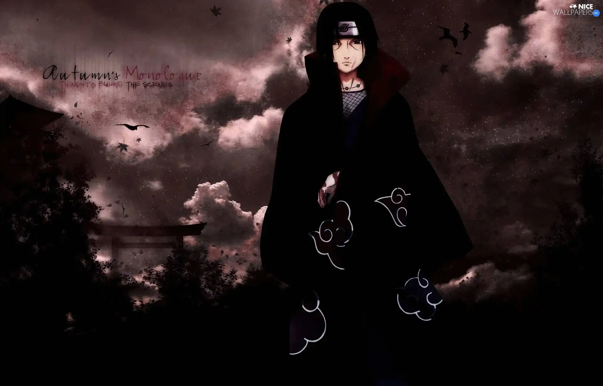 ninja, Naruto, Uzumaki