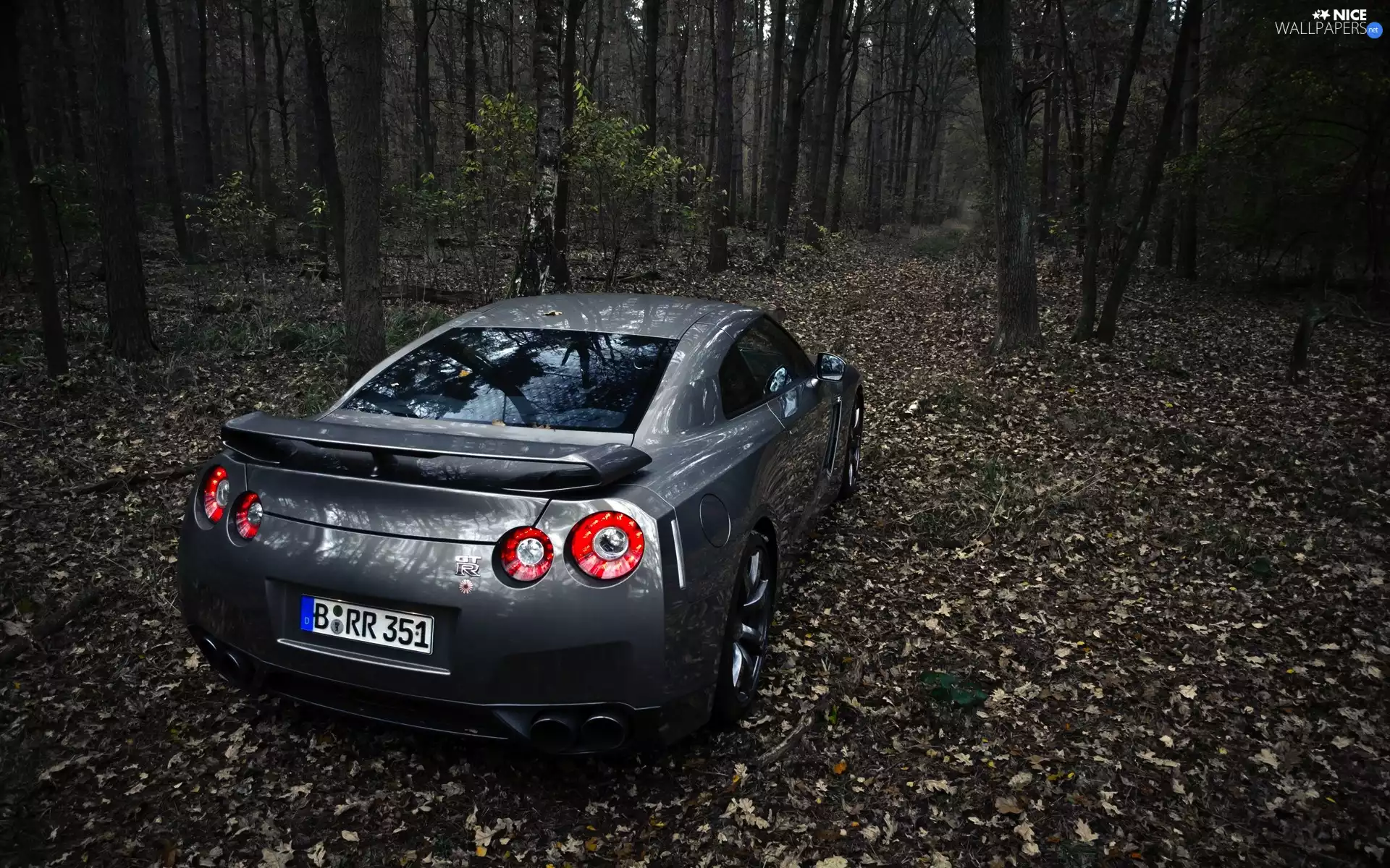 Nissan GTR, forest