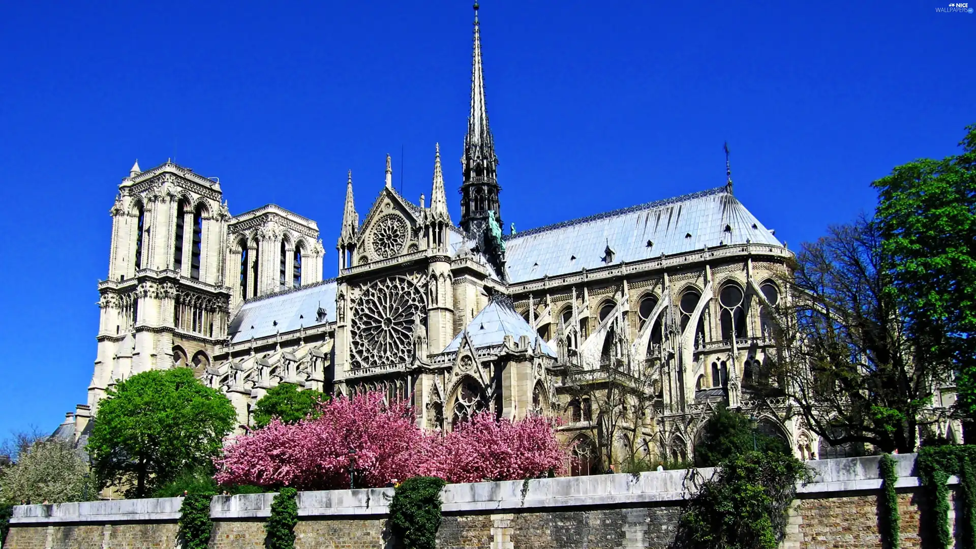 chair, Paris, France, Notre Dame