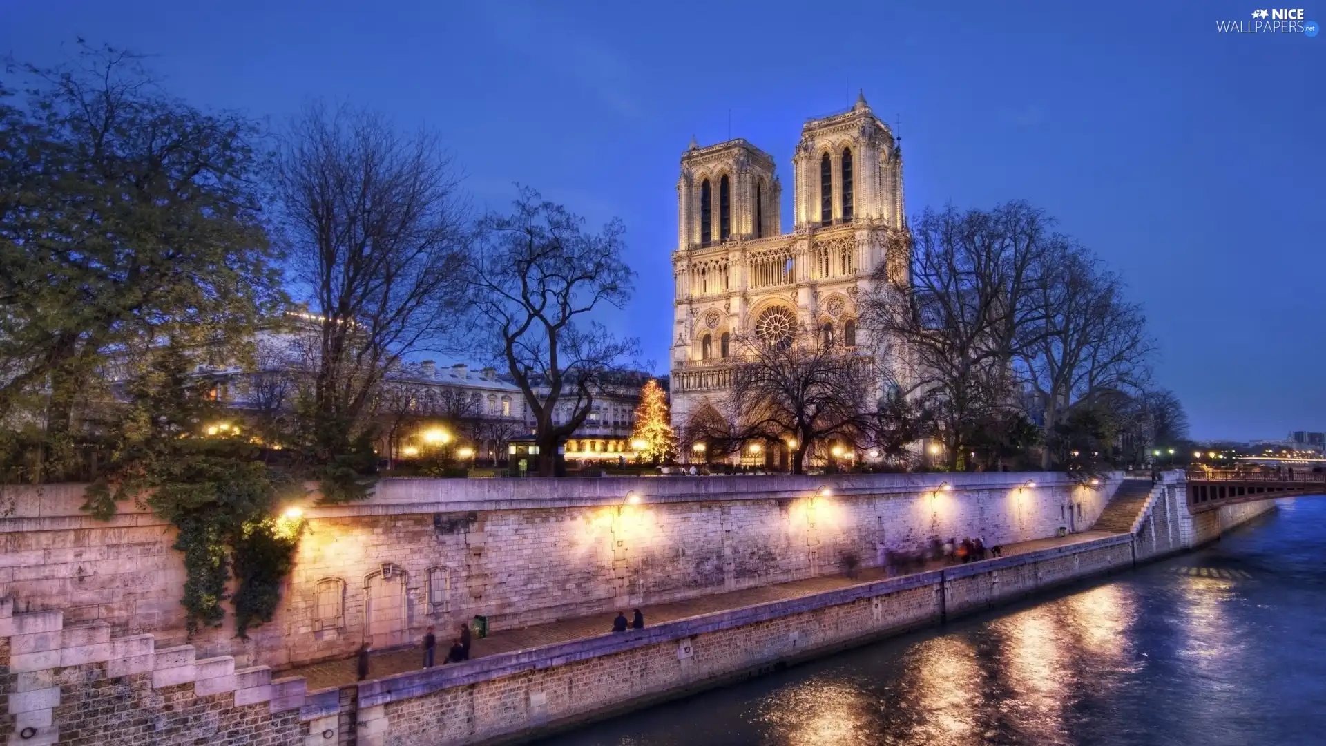 France, Notre Dame, Paris, chair