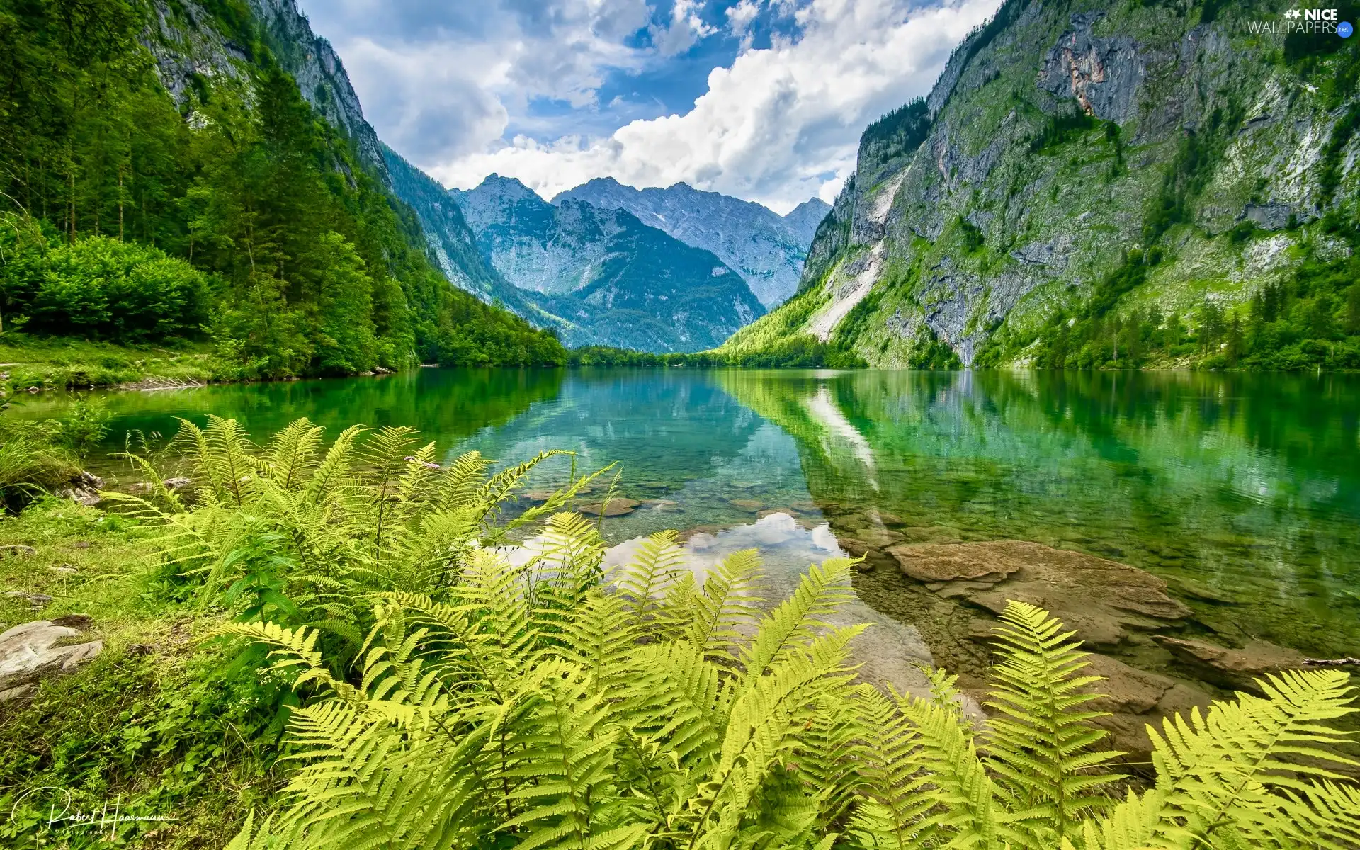 Mountains, Berchtesgaden National Park, Alps, trees, Bavaria, Germany, fern, Obersee Lake, viewes