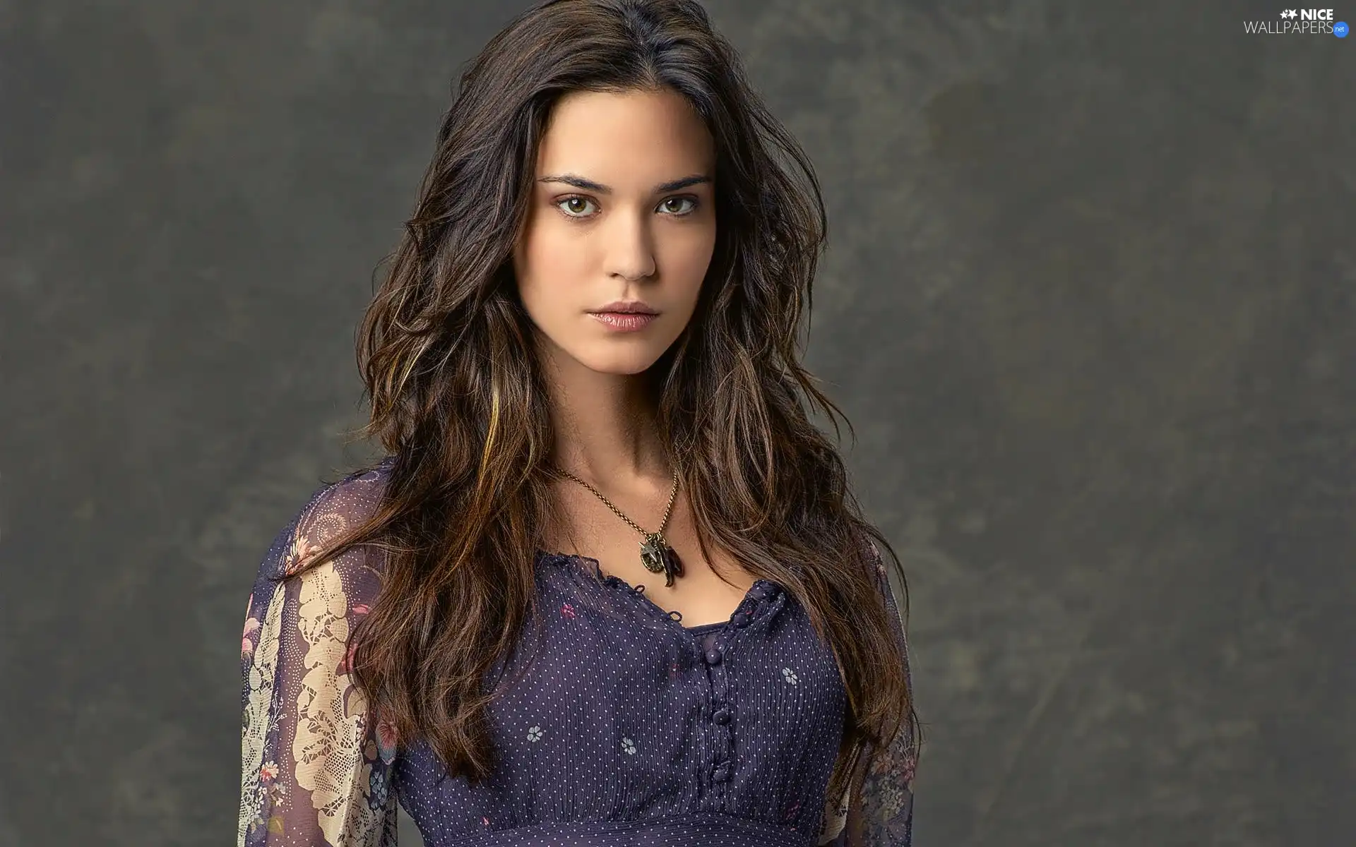 Odette Annable, brunette