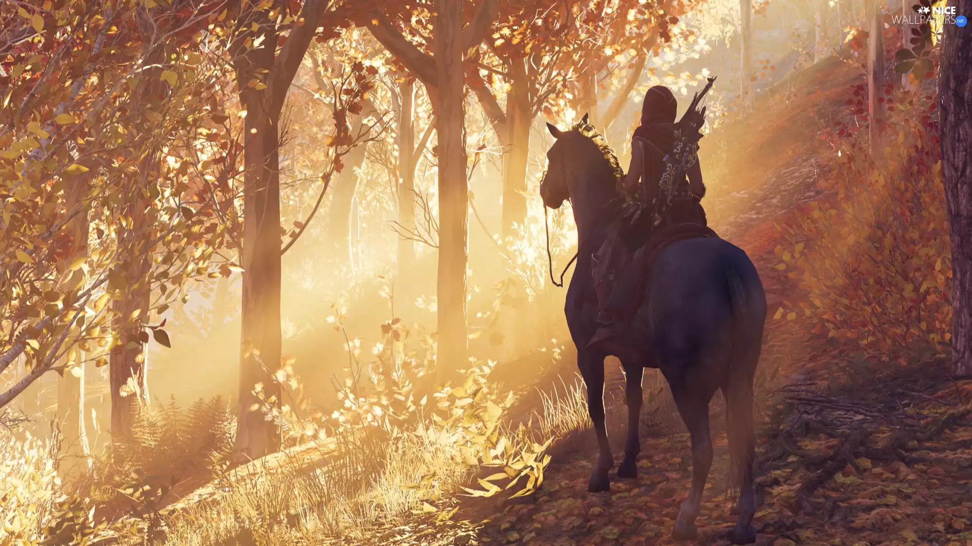 form, game, Horse, forest, rider, Assassins Creed Odyssey