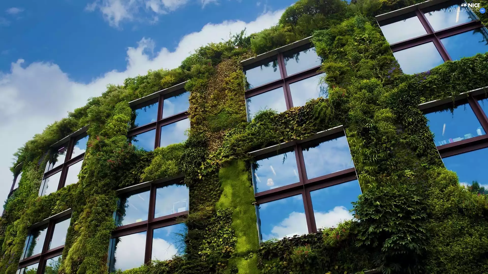 Musée du quai Branly, Paris, Windows, Museum of Non-European Cultural Art, France, house, Plants