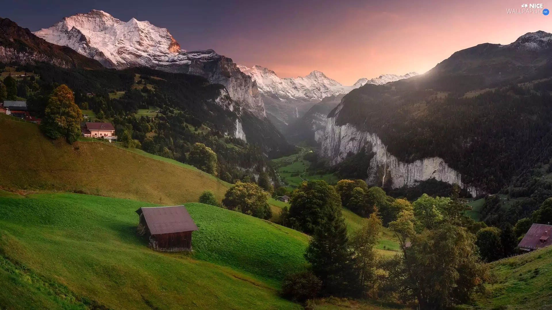 trees, Mountains, woods, viewes, Sunrise, Switzerland, Canton of Bern, Lauterbrunnental Valley, Bernese Alps, Wengen, Houses