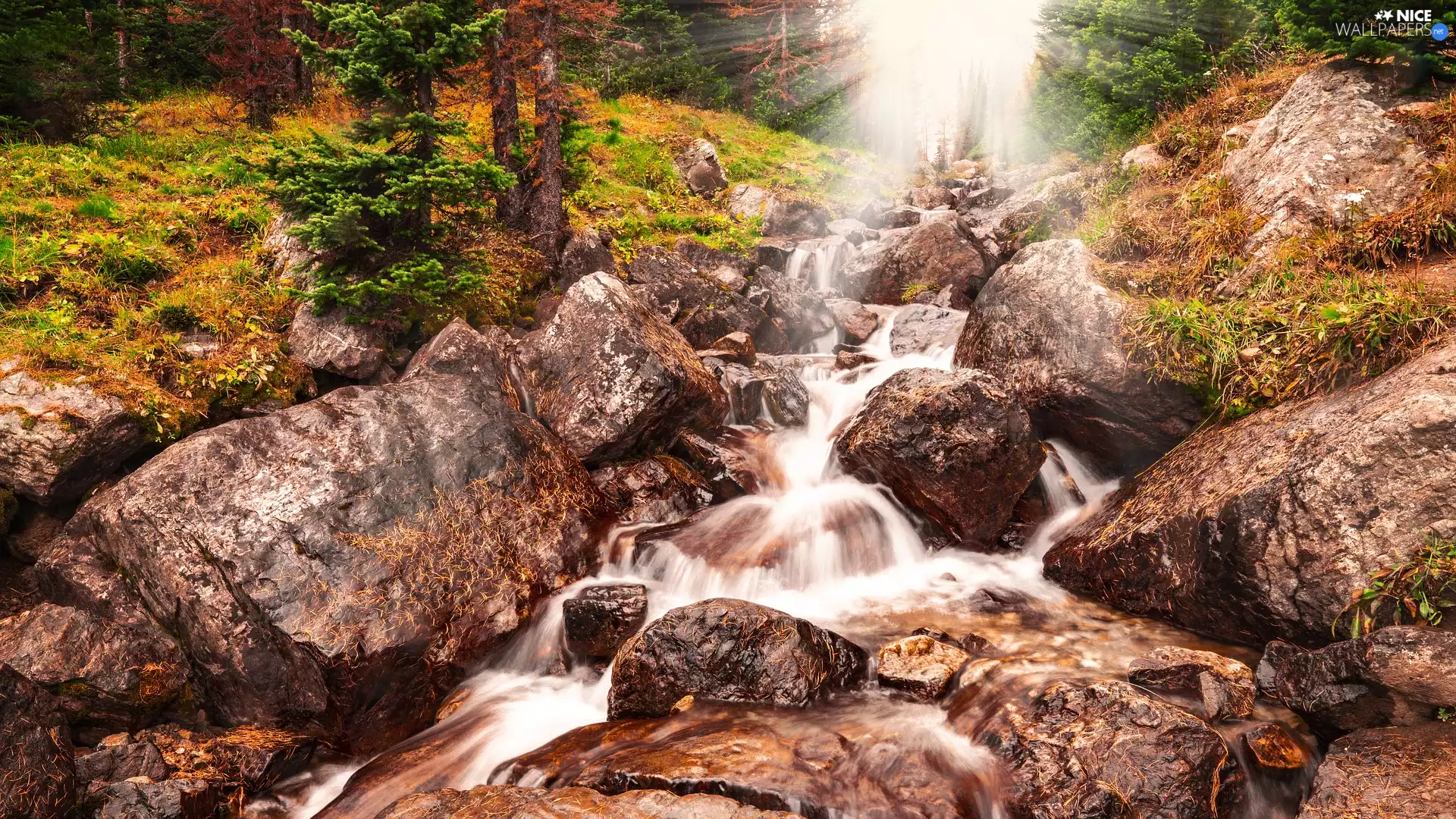 Stones, flux, rays of the Sun, stream