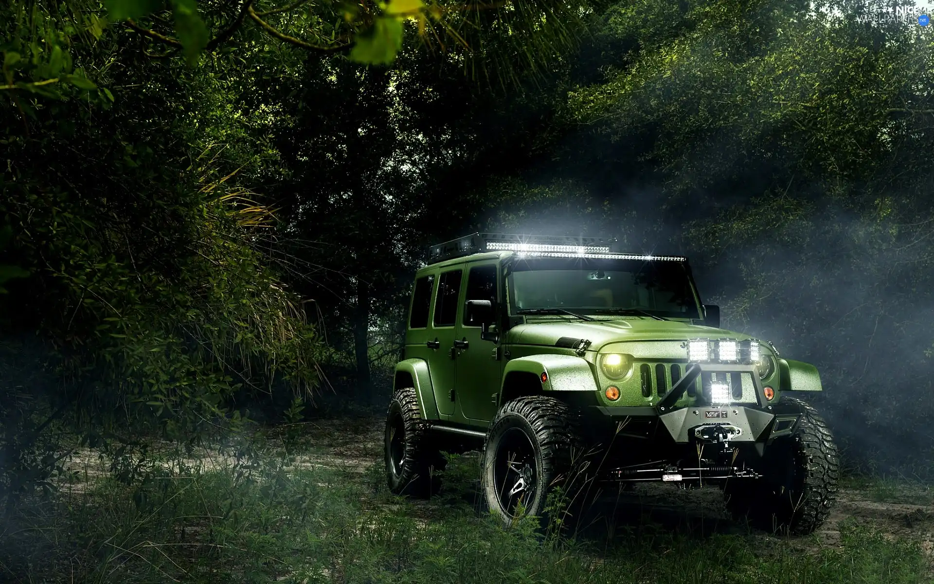 morning, Jeep Forest, rays of the Sun