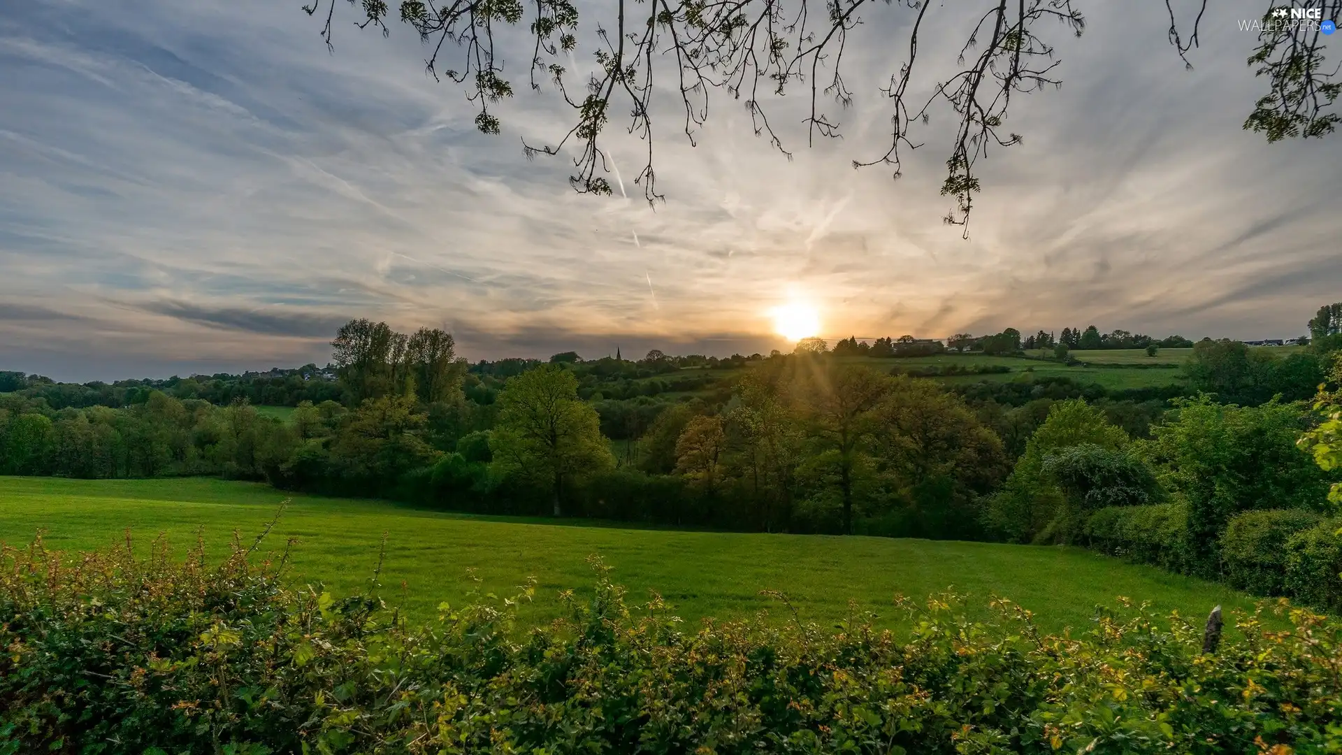 The Hills, viewes, rays of the Sun, trees